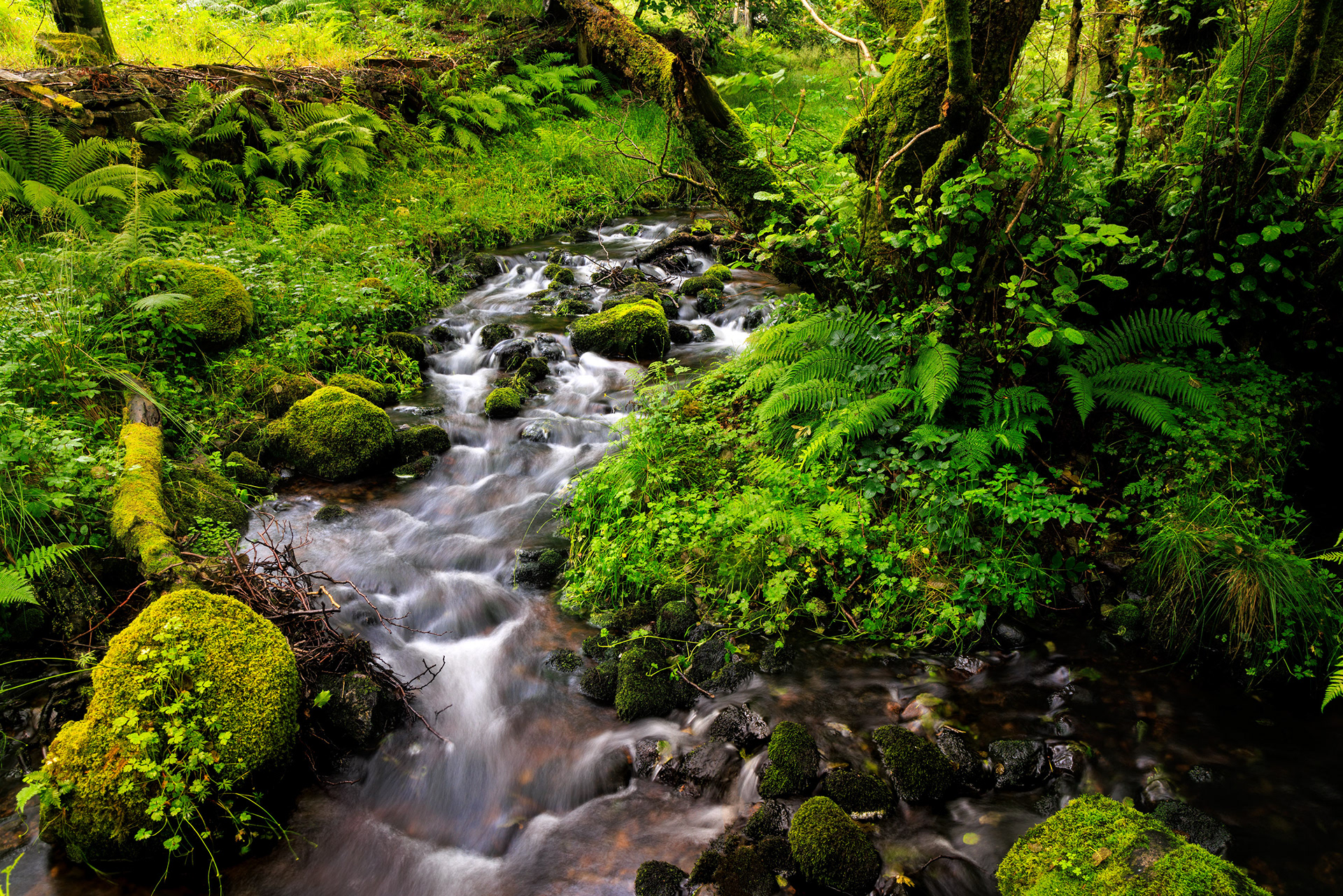 River Coe, Glencoe, Scotland