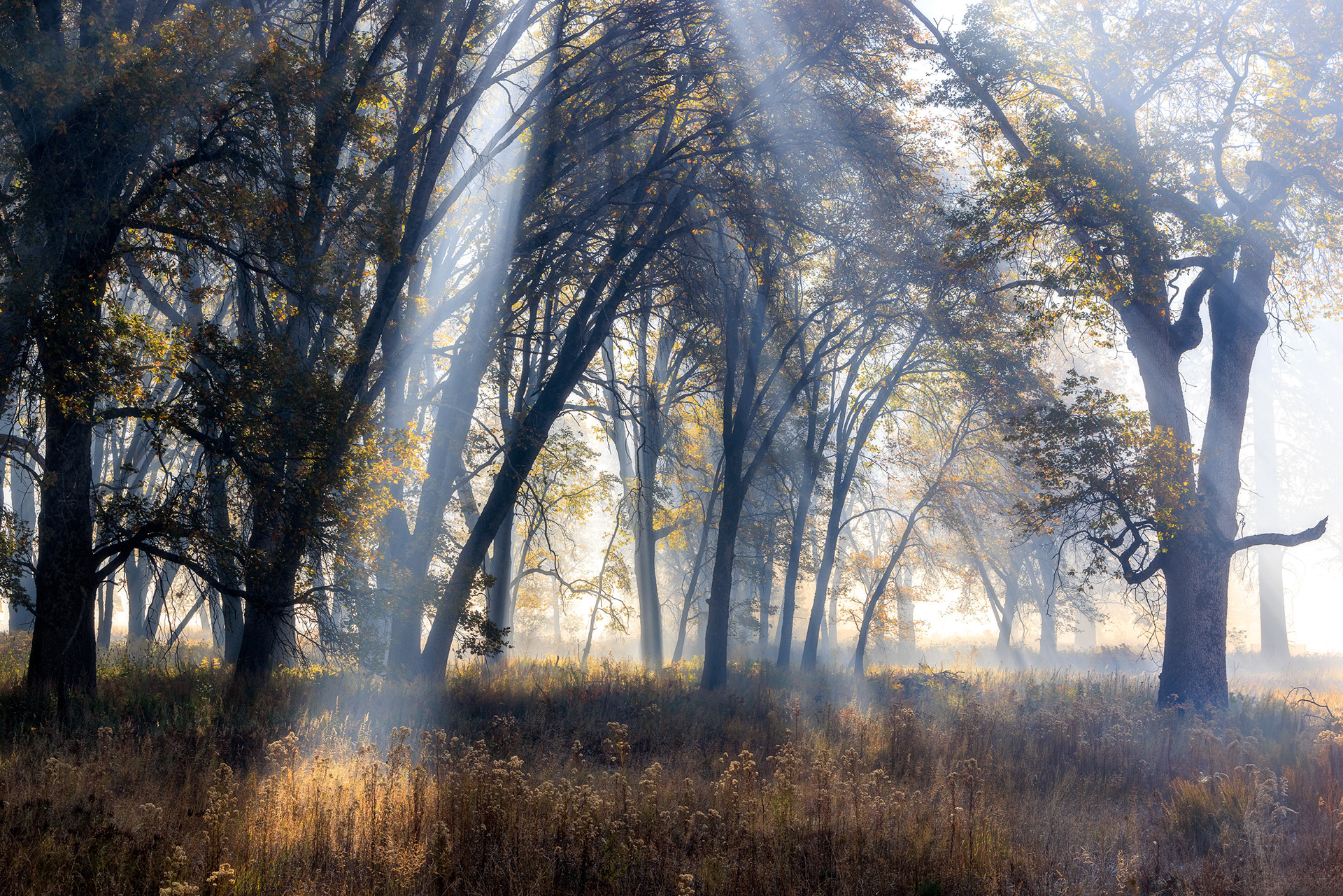 Yosemite National Park