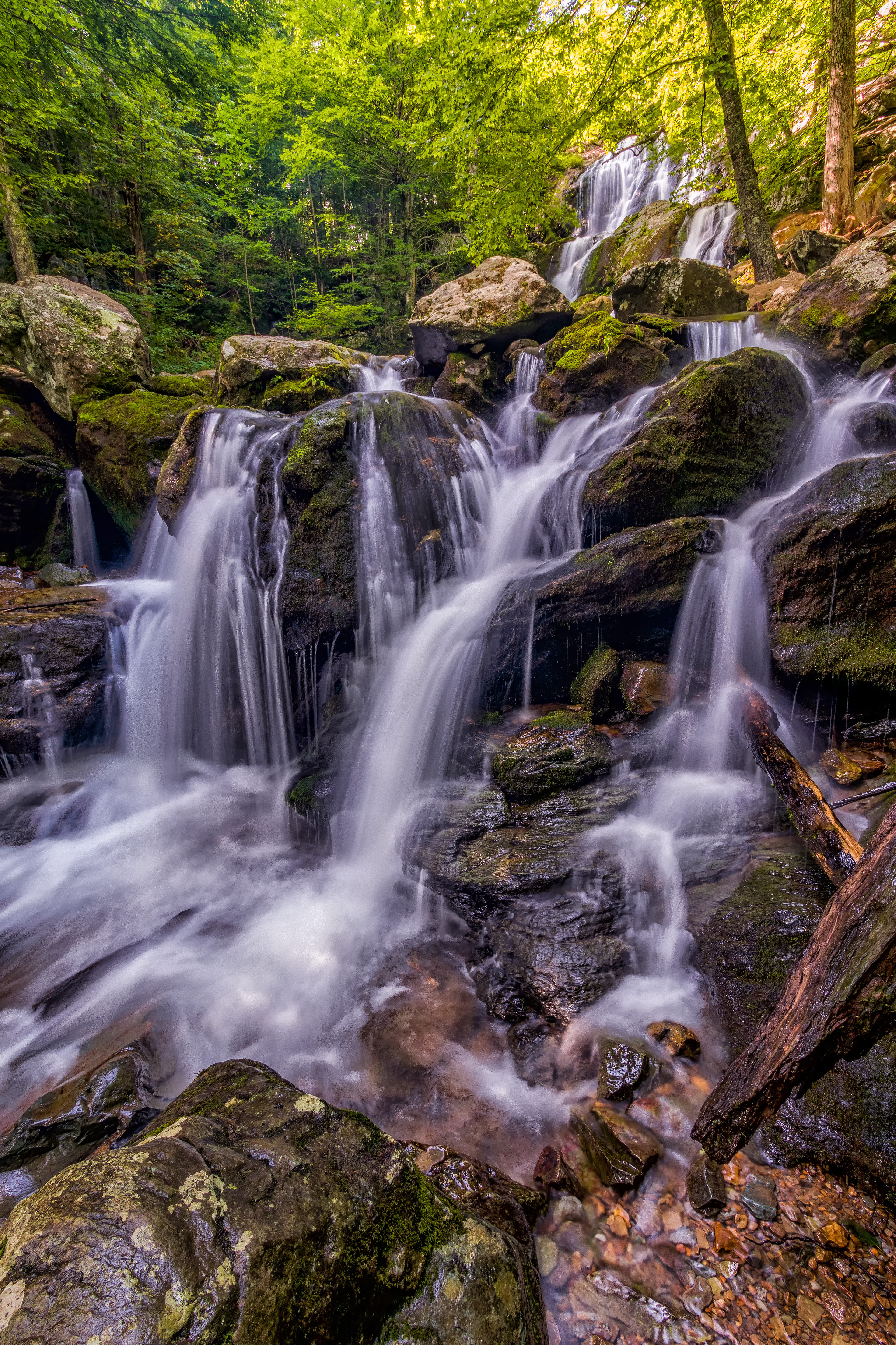 Dark Hollow Falls, Shenandoah National Park