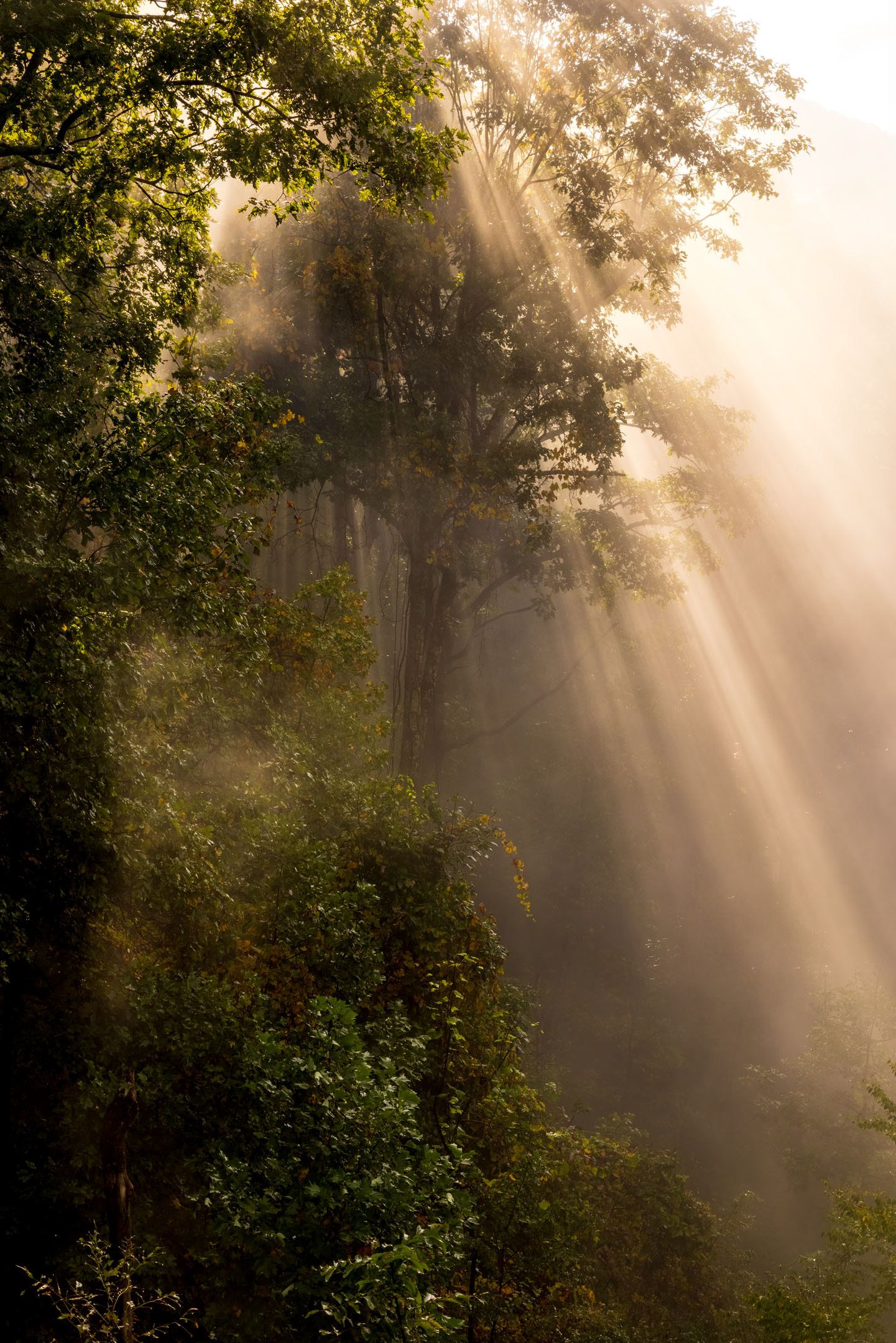 Lightbeams on the Blue Ridge Parkway