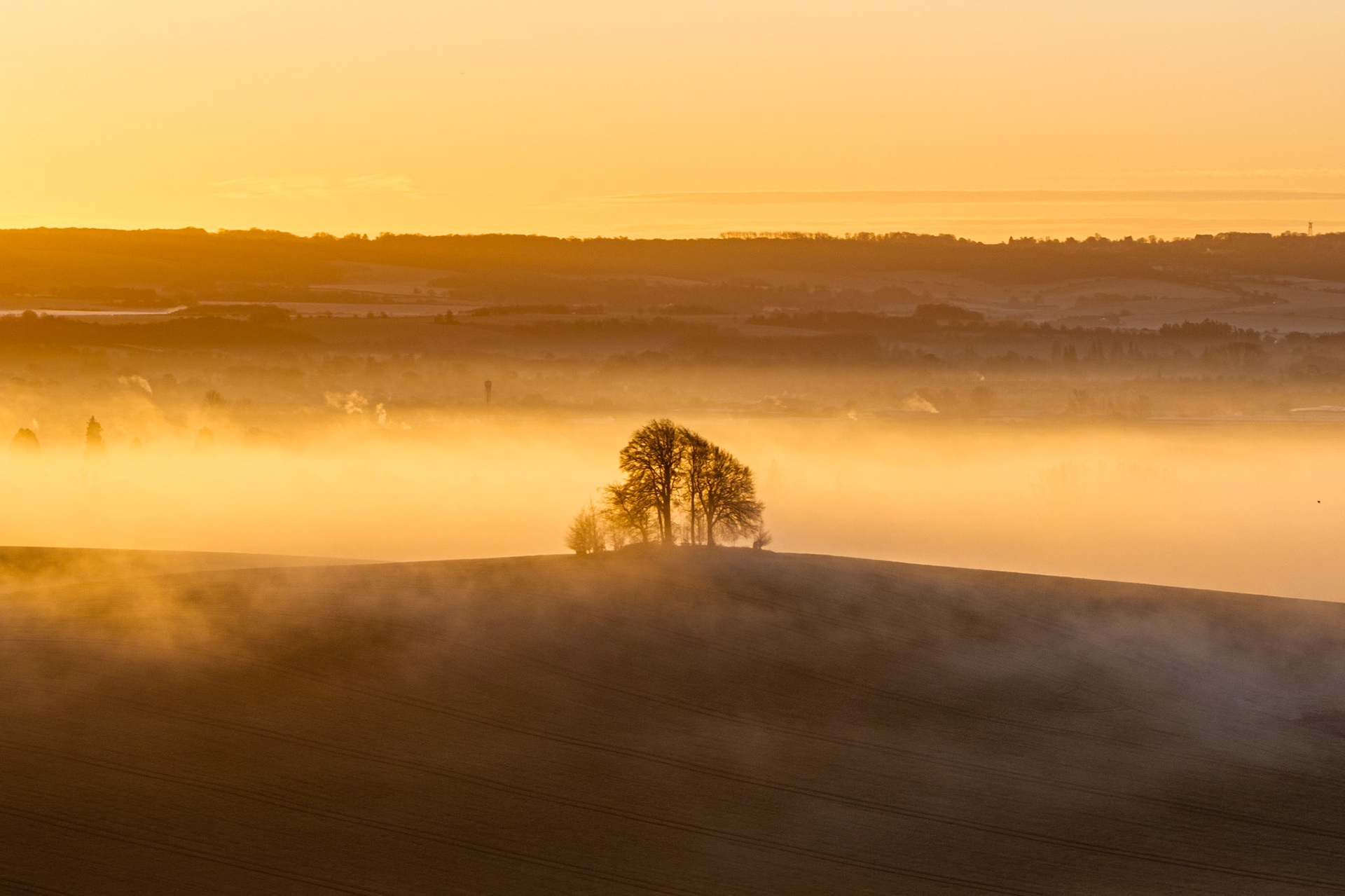 A small copse crowns the low ridge of Brightwell Barrow, near the Wittenham Clumps in Oxfordshire, its bare winter canopy silhouetted against a dense radiation fog bank at dawn. The temperature inversion has pooled mist in every hollow across the Vale of White Horse, reducing the rolling arable landscape to a series of luminous amber layers. The drone vantage isolates the trees as the sole vertical anchor in an otherwise dissolving world.