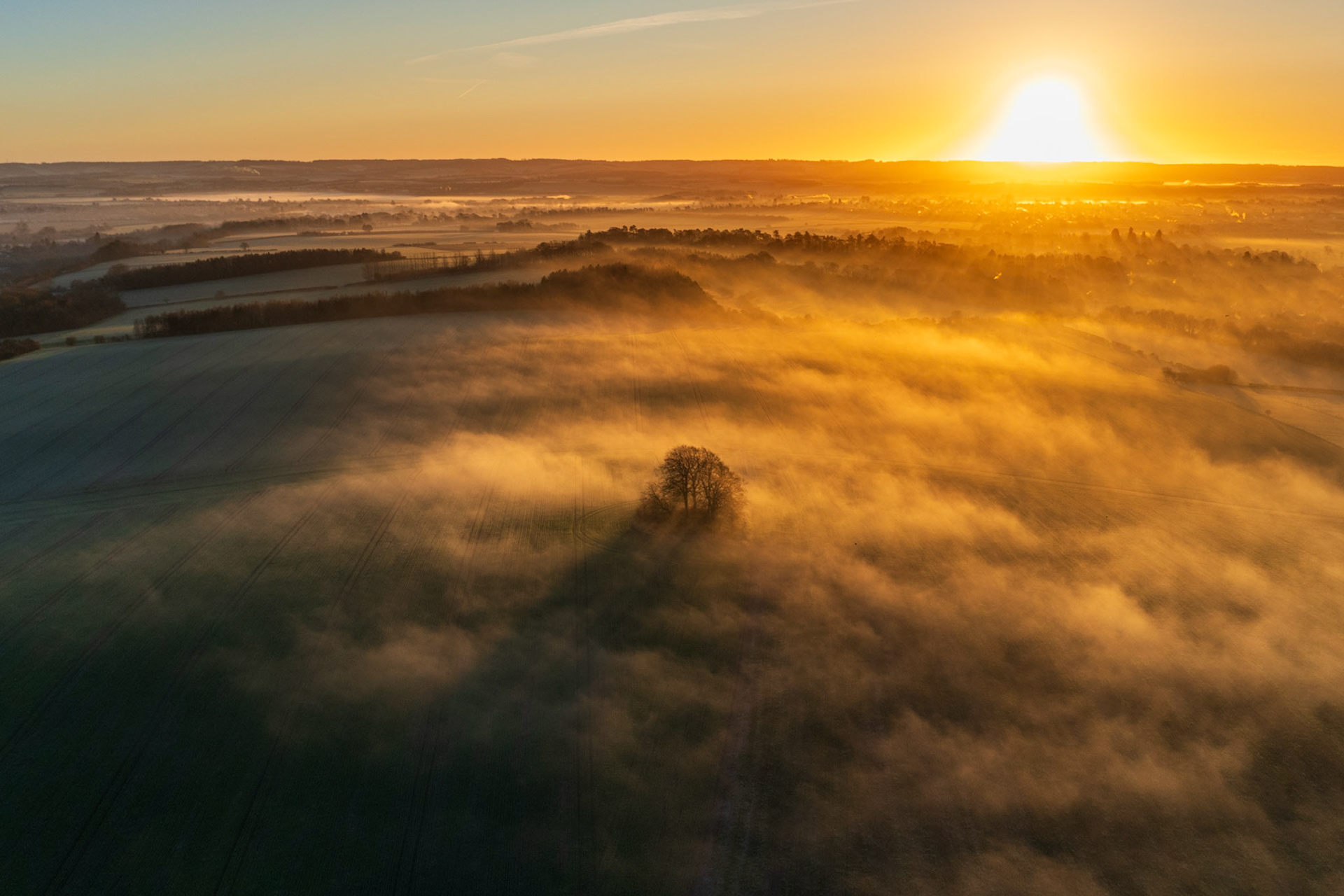 A solitary tree emerges from a shallow temperature inversion rolling across the arable vale below Brightwell Barrow, near the Wittenham Clumps in Oxfordshire, at sunrise on a January morning. The fog pools in the low ground while hedgerow and woodland ridges break the surface, backlit by a low winter sun. Drone altitude places the lone tree precisely at the threshold between shadow and light.