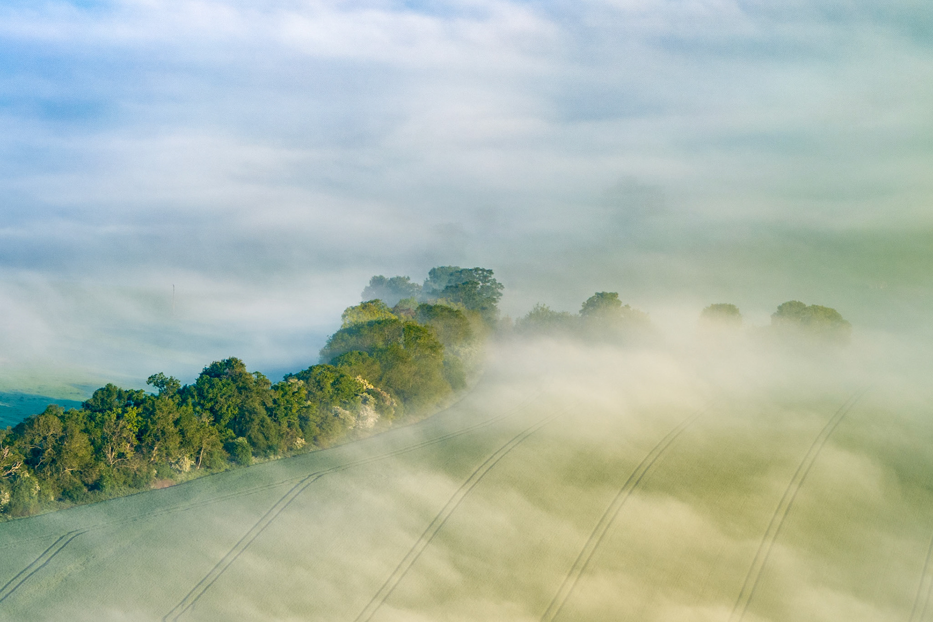 Low inversion cloud pools across an arable field on the Chiltern escarpment near Henley-on-Thames, partially submerging a hedgerow tree line in early May. The tractor tramlines beneath the fog layer give scale and geometry to an otherwise ephemeral scene. Captured from altitude, the image sits at the boundary between topographic record and atmospheric abstract.