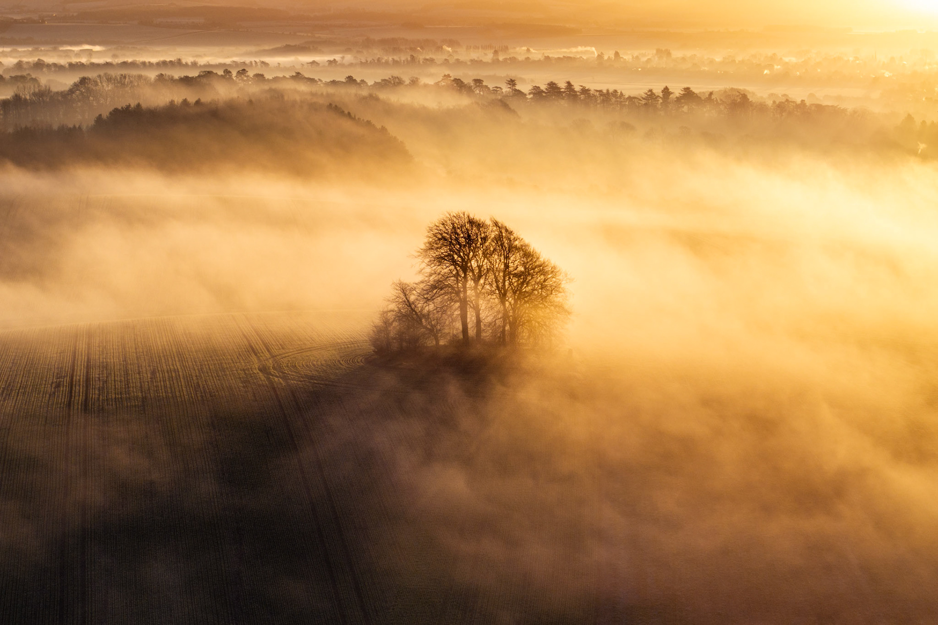 At first light in January, the ancient burial mound of Brightwell Barrow — set in arable farmland below the Wittenham Clumps in Oxfordshire — emerges as a silhouette of bare winter trees from a shallow temperature inversion. Low dawn sun from the east backlights the fog, compressing the landscape into layered planes of amber and shadow. Tractor tramlines in the field below anchor the composition, lending scale to the isolation of the trees on the barrow.
