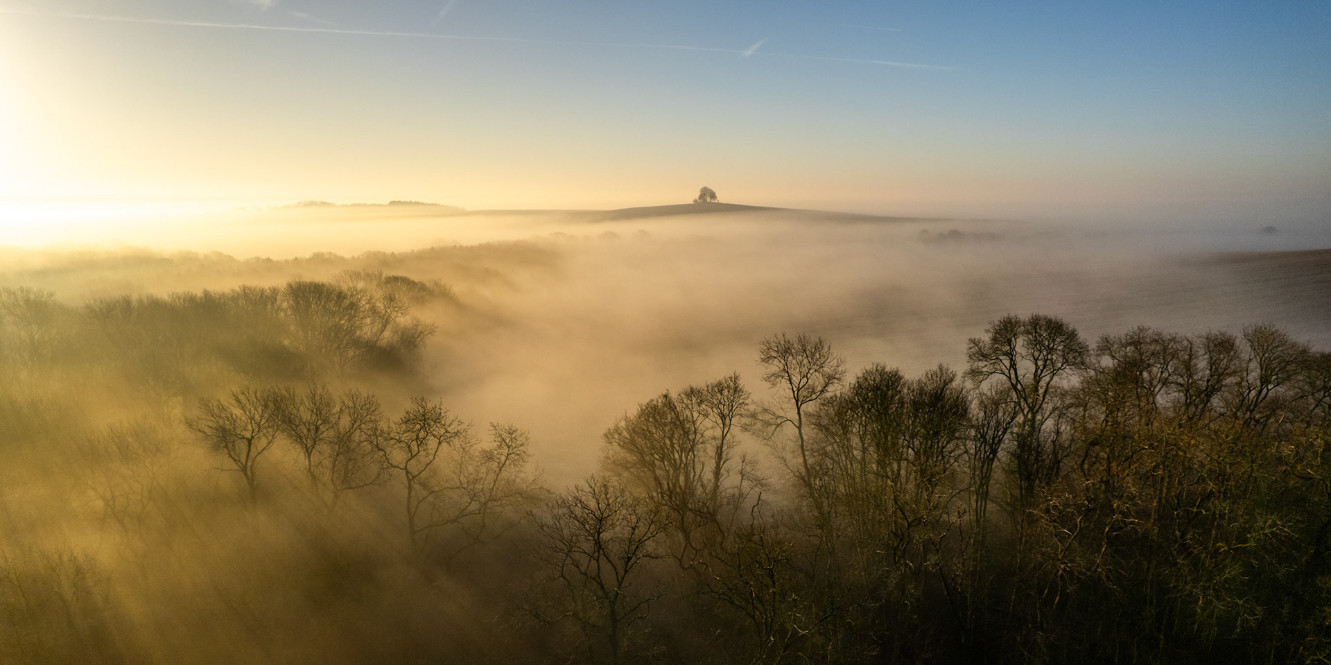 A temperature inversion fills the Thames Valley with dense morning mist at dawn, bare deciduous canopies breaking the surface while a lone hilltop tree stands in silhouette against clearing sky above Abingdon-on-Thames. The low sun from the south-east casts a warm amber wash across the fog layer, creating a clean tonal separation between woodland, mist, and open blue. The composition holds its single focal point — the isolated summit tree — with quiet authority.