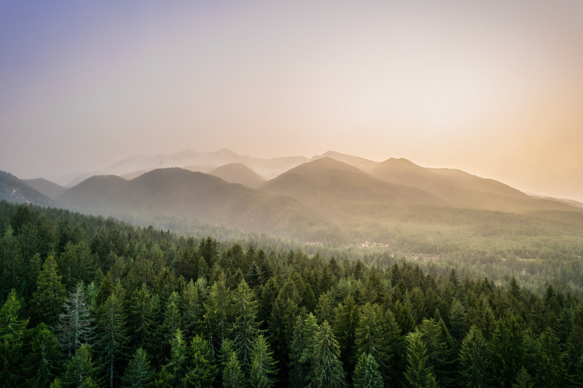 Bulgarian Alpine Forest and mountains from Above, Pirin National Park, Bulgaria