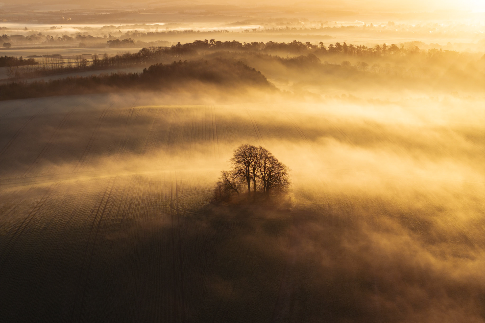 A small copse of bare-limbed trees emerges from a low temperature inversion rolling across arable fields on the slopes of Brightwell Barrow, near the Wittenham Clumps in Oxfordshire, photographed from altitude at first light in January. The mist moves in layered bands, backlit by a low winter sun, reducing the surrounding farmland to tonal abstraction. The isolated stand of trees anchors the composition as the sole vertical element in an otherwise formless, luminous ground.