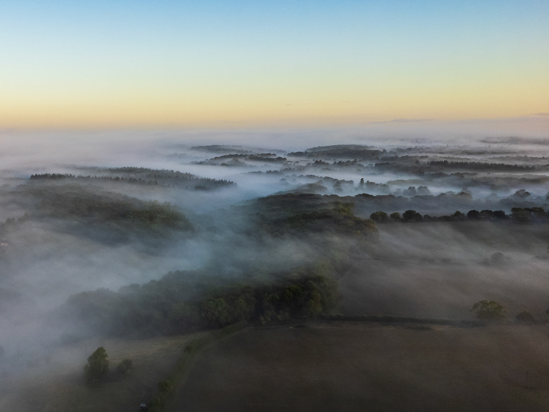 A temperature inversion holds dense mist in the valleys between wooded ridges south of Henley-on-Thames, shot from altitude at first light in early autumn. Tree canopies emerge as dark islands above the fog layers, receding in diminishing contrast toward a pale dawn horizon. The layered depth and tonal restraint give the scene a quiet, almost monochromatic quality despite the colour capture.
