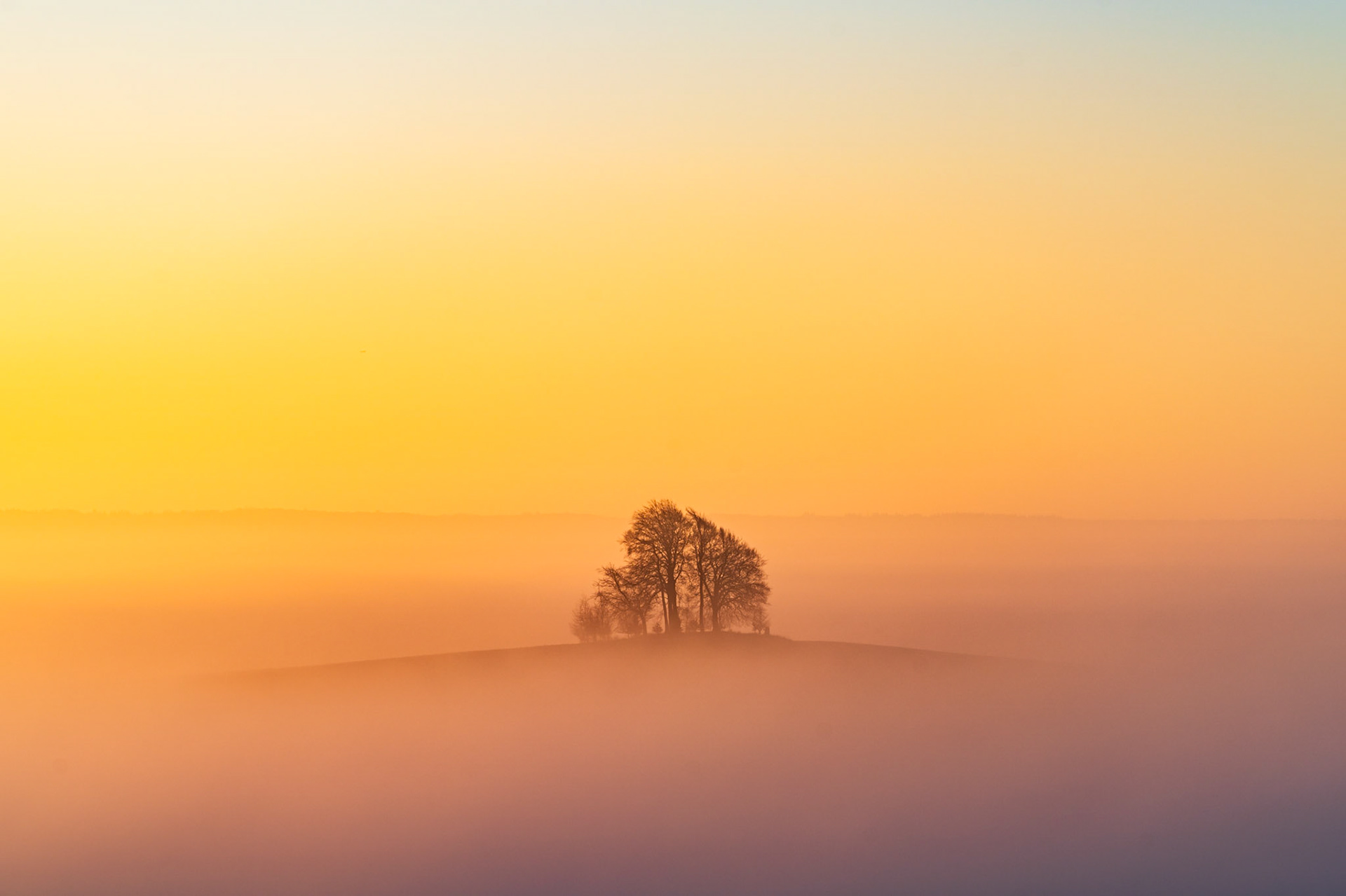 An absolutely magical scene from Oxfordshire, where a small group of trees on a 'barrow' stands above the mist, where the sunrise is lighting the scenes in the most beautiful orange, yellow and pink pastel hues.