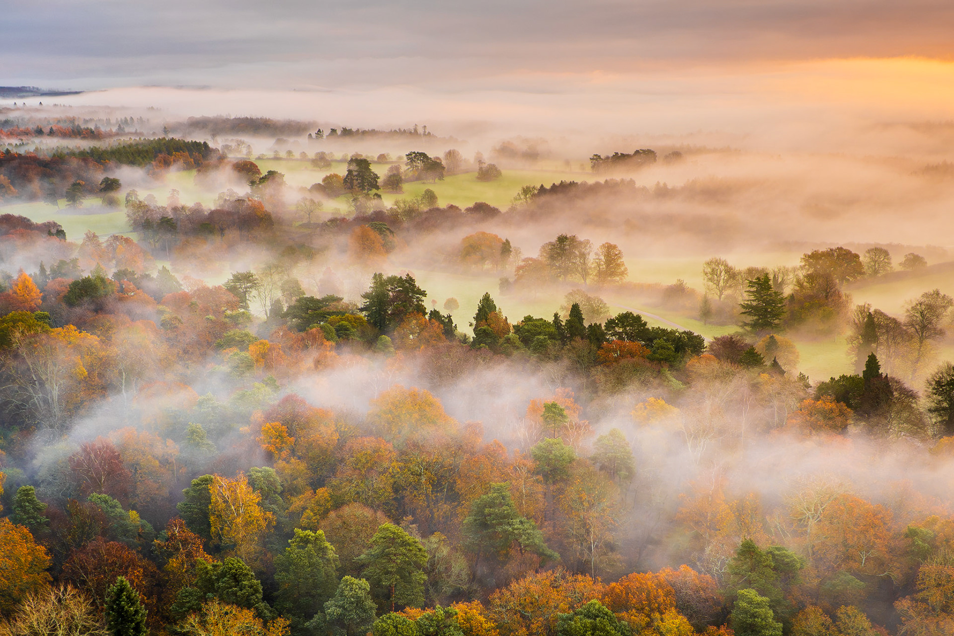 A temperature inversion holds low cloud among the autumn canopy of a Thames Valley woodland at dawn, the rising sun catching the mist from the south-east and warming the scene to amber. Photographed from altitude above Henley-on-Thames, the layered fog separates foreground trees from the open pasture beyond, creating a sequence of receding planes that dissolves into the glowing horizon. The restraint of the palette — amber, ochre, and soft grey — gives the image an unusual quietness for aerial work.
