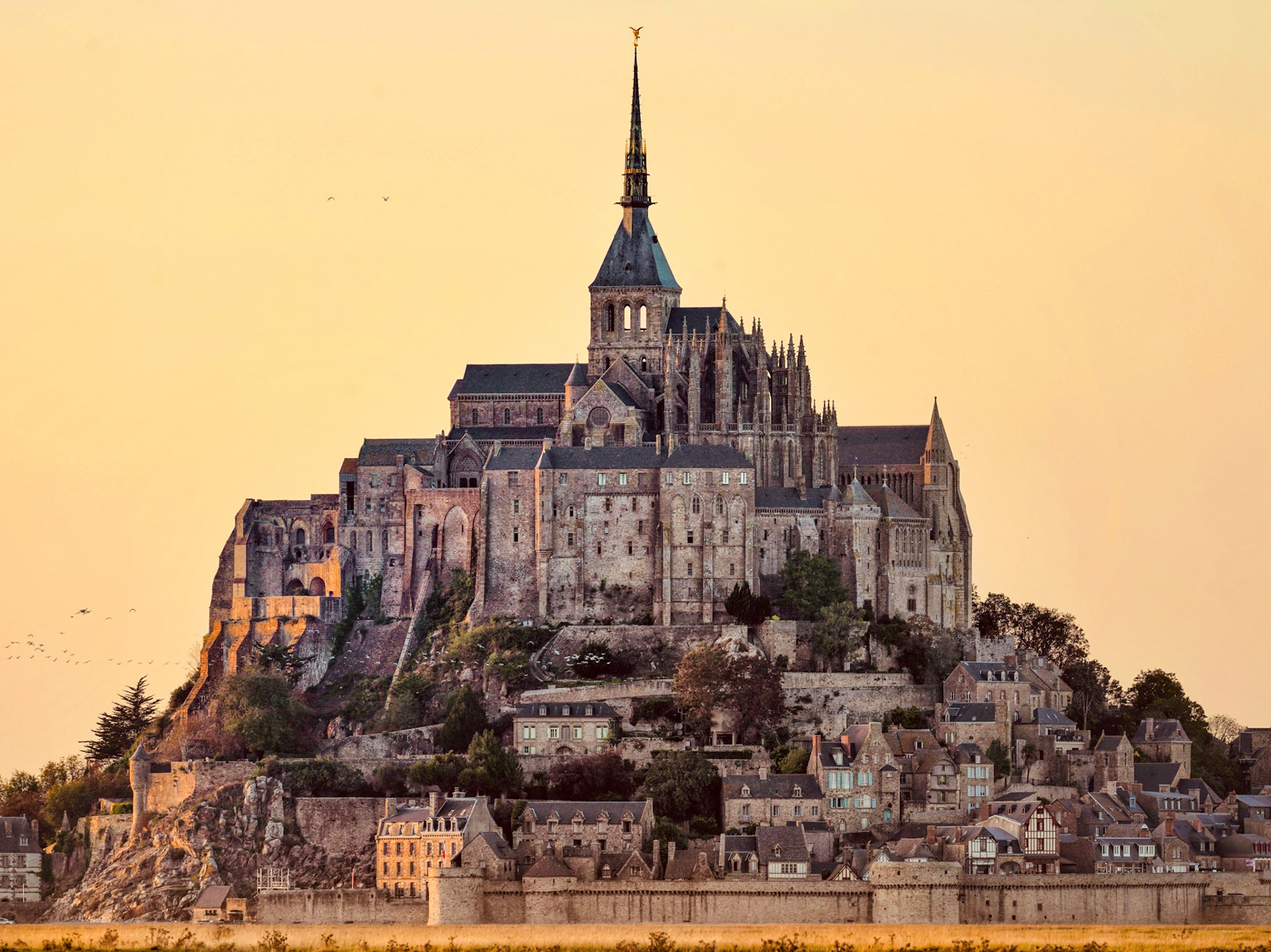 Mont Saint Michel captured during a magical golden sunset, with a large flock of birds flying across the scene. Normandy, France
