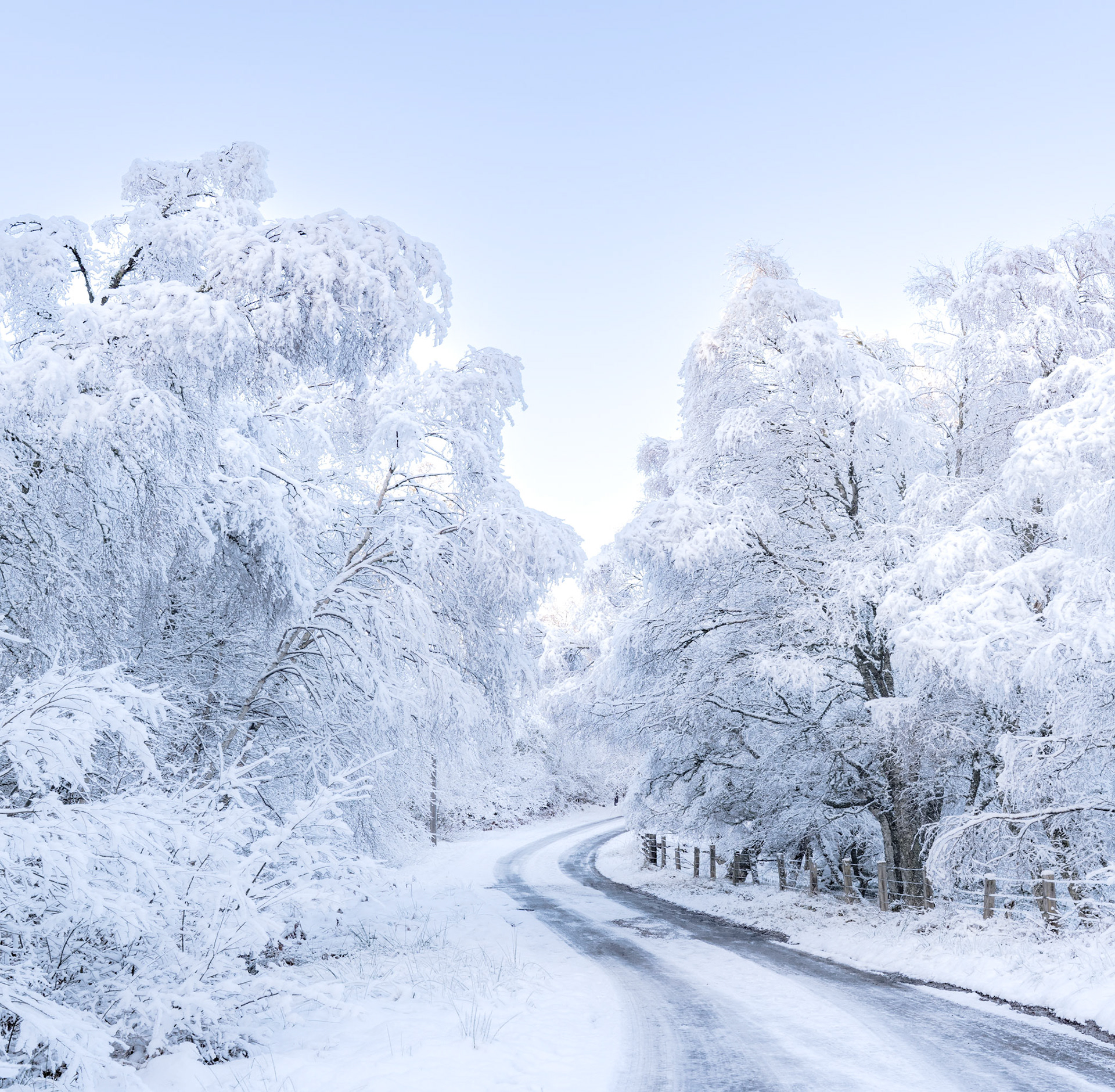 A road leads into the woodland of this Scottish winter scene, where heavy snow had fallen, Cairngorms, Scotland