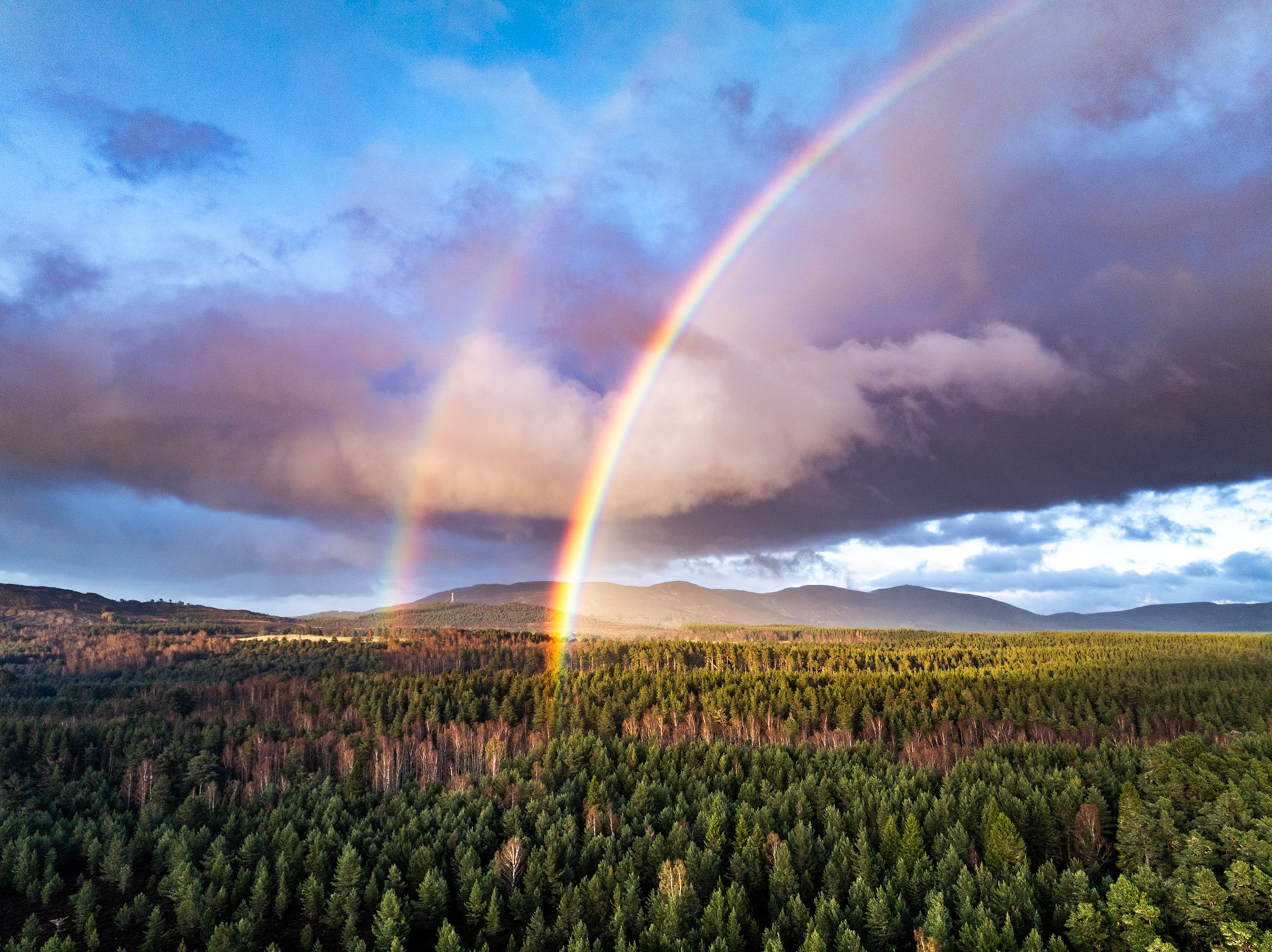 A double rainbow descends into the Scots pine forest of Strathspey, its feet converging near the treeline as a squall clears over the Cairngorm plateau. The aerial vantage compresses the full arc geometry against a bruised cumulonimbus, with raking low sun warming the canopy below. Captured at dusk in April above Aviemore.
