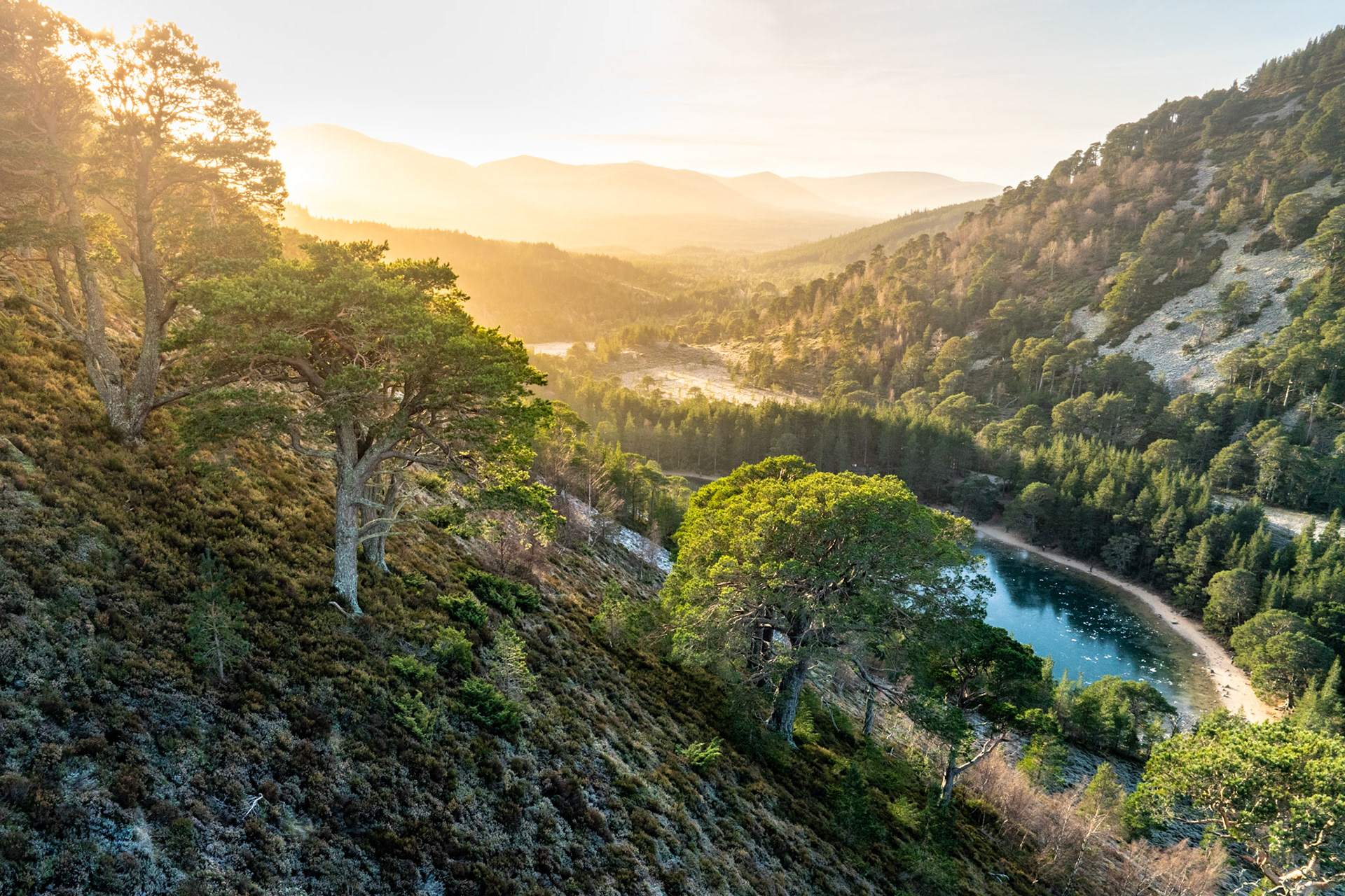 An aerial view looking west along a forested river valley in the Cairngorms, the watercourse curving through ancient Scots pine and mixed woodland below sculpted hillsides. Layered mountain ridges dissolve into a warm, low sun on a clear winter afternoon, the cold-toned river contrasting with the golden atmosphere above. The elevated vantage gives scale to the valley's depth while isolated pines on the foreground slope anchor the composition.