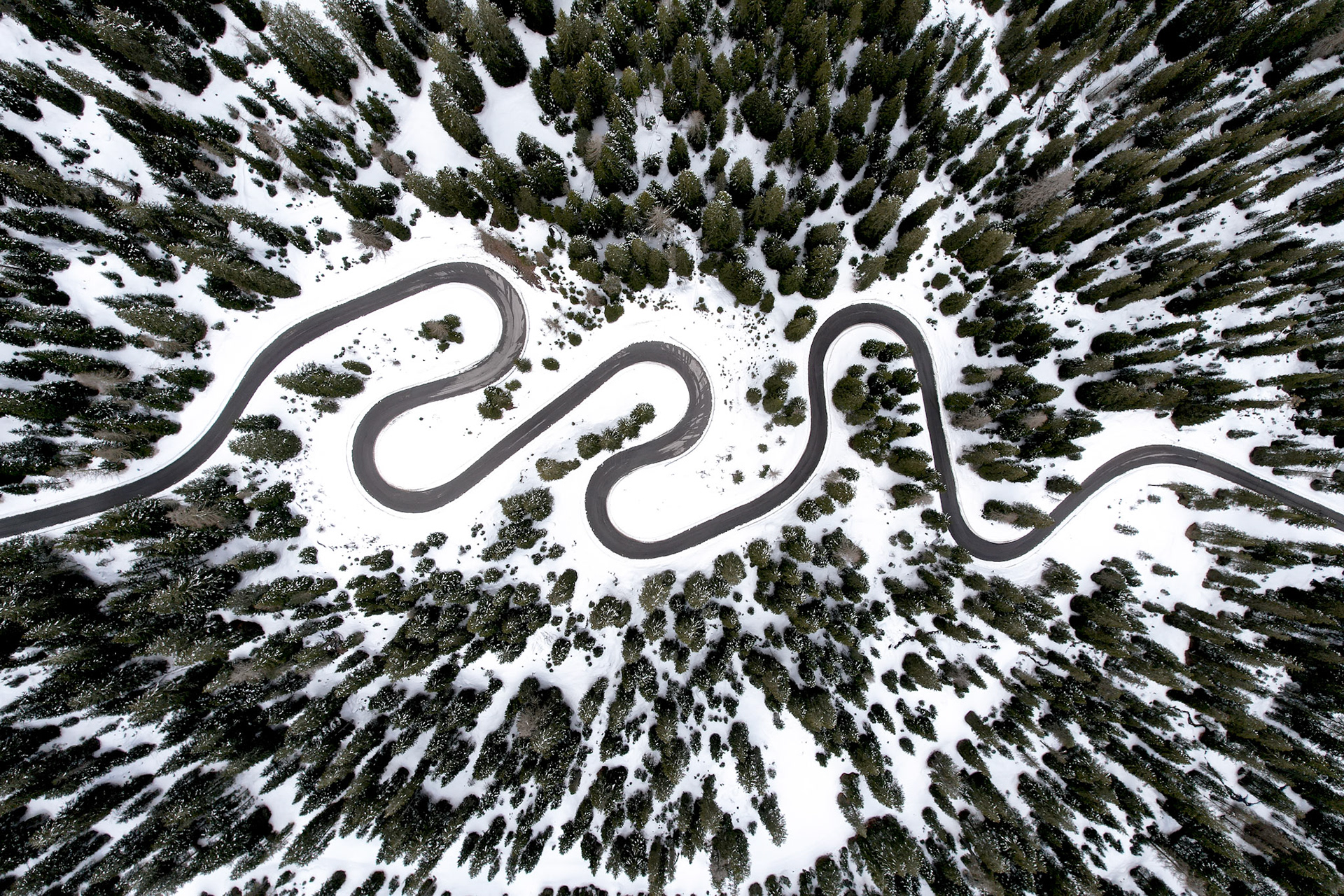A hairpin mountain road traces repeated switchbacks across a snow-covered alpine slope near Cortina d'Ampezzo, the dark asphalt cutting a rhythmic sinuous line through conifer forest. Shot directly overhead at midday, the nadir perspective strips away horizon and depth, reducing the scene to graphic pattern. The tonal contrast between cleared road, unbroken snow, and dark evergreen canopy gives the composition a near-typographic quality.
