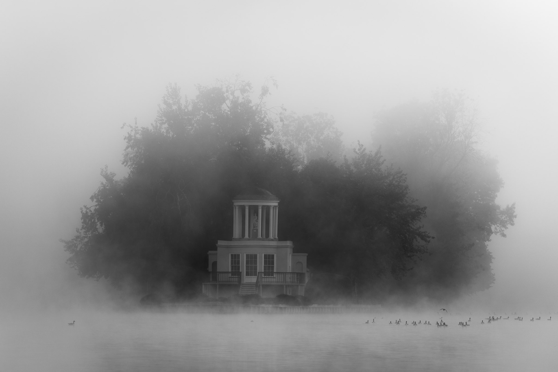 A neoclassical waterside temple emerges from dense morning fog, its columned rotunda framed by a mass of trees that dissolve at the edges into white. A loose gathering of waterfowl rests on the still water below, anchoring the scene in quiet life. The monochrome rendering strips the image to tone and atmosphere alone.