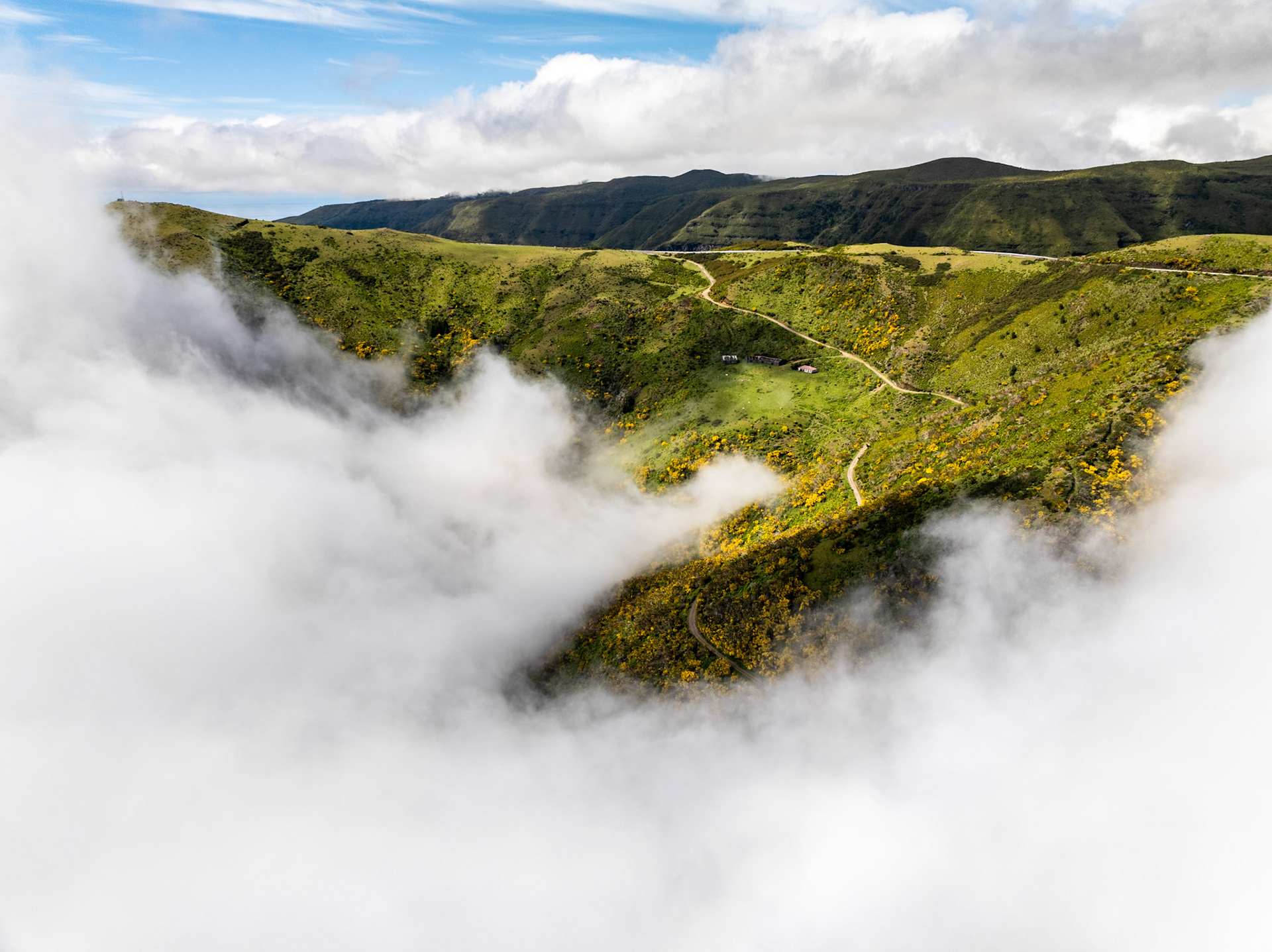 Low cloud pools in a steep-sided valley above Calheta, Madeira, partially obscuring green hillsides dotted with yellow flowering scrub. Shot from directly above the inversion layer, the mist parts to reveal a dirt track winding toward an isolated farmstead. The upper ridgeline and cumulus sky anchor the composition above the cloud floor.