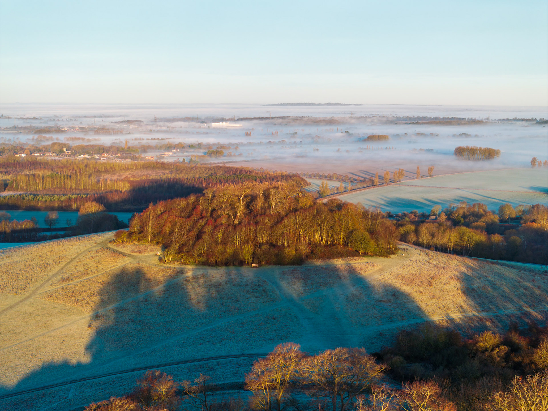 A frost-hardened copse crowns Brightwell Barrow, the low ridge that rises near the Wittenham Clumps in Oxfordshire, its long shadow cast across pale winter pasture in early morning light. Beyond, a temperature inversion has pooled dense mist between the fields of the Thames Valley, reducing distant hedgerows and settlements to faint silhouettes. The cold clarity of the foreground against the soft dissolution of the valley floor gives the frame its tension.
