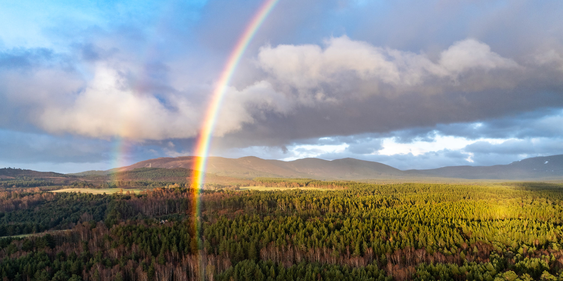 A vivid primary rainbow descends toward the Scots pine canopy of Rothiemurchus Forest, Cairngorms, as a receding storm cloud throws the distant Cairngorm plateau into shadow. Warm late-evening light catches the right-hand portion of the woodland while the left remains in cold half-shadow, dividing the scene along the rainbow's axis. Captured from altitude, the aerial vantage compresses the depth between forest floor and mountain range into a single layered plane.