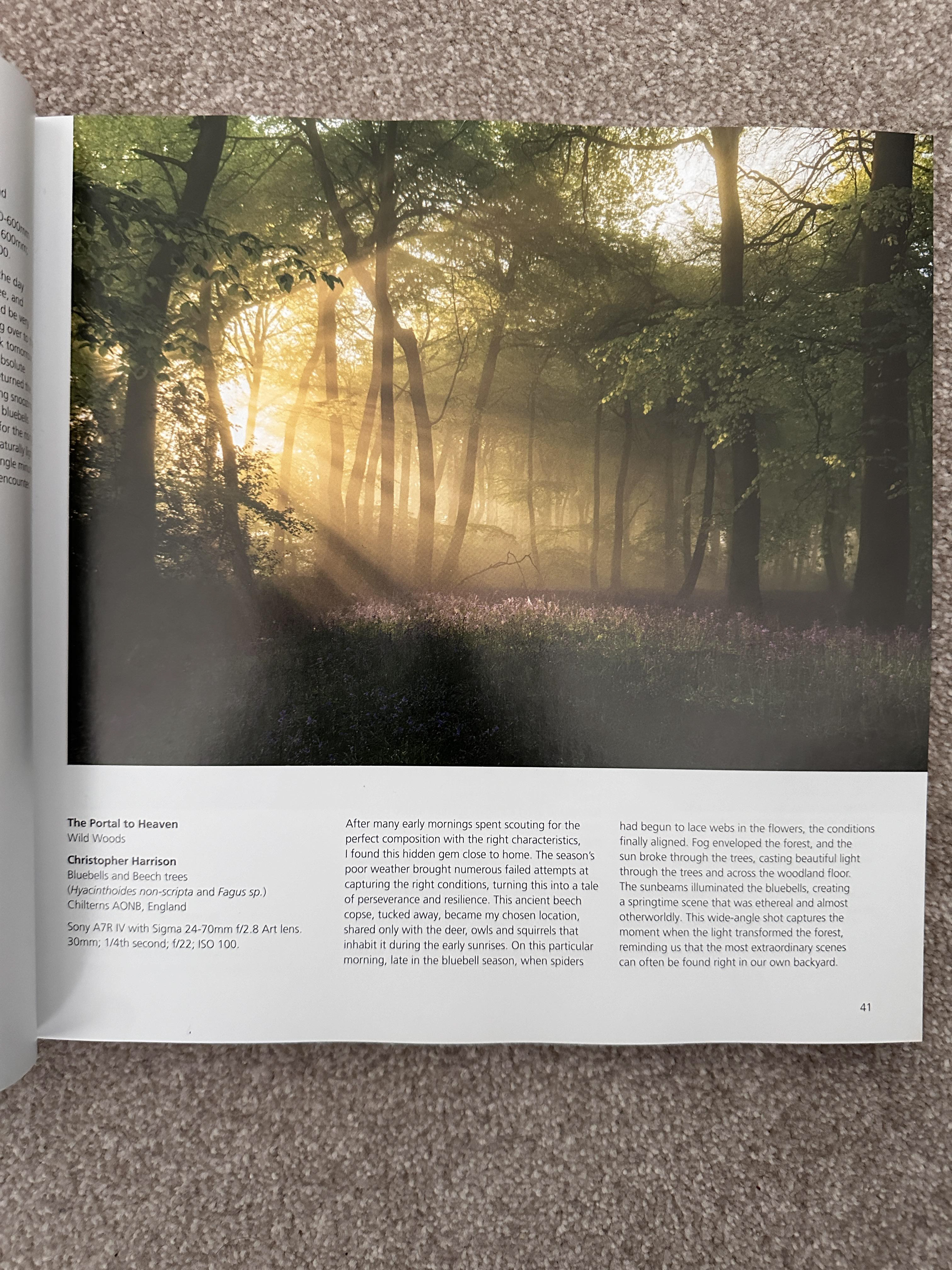 Christopher Harrisons Photograph titled The Portal to Heaven, here shown in the British Wildlife Photography Awards Book 13. Here you can see sun beams shining into a beechwood carpeted in bluebells from the Chiltern Hills.