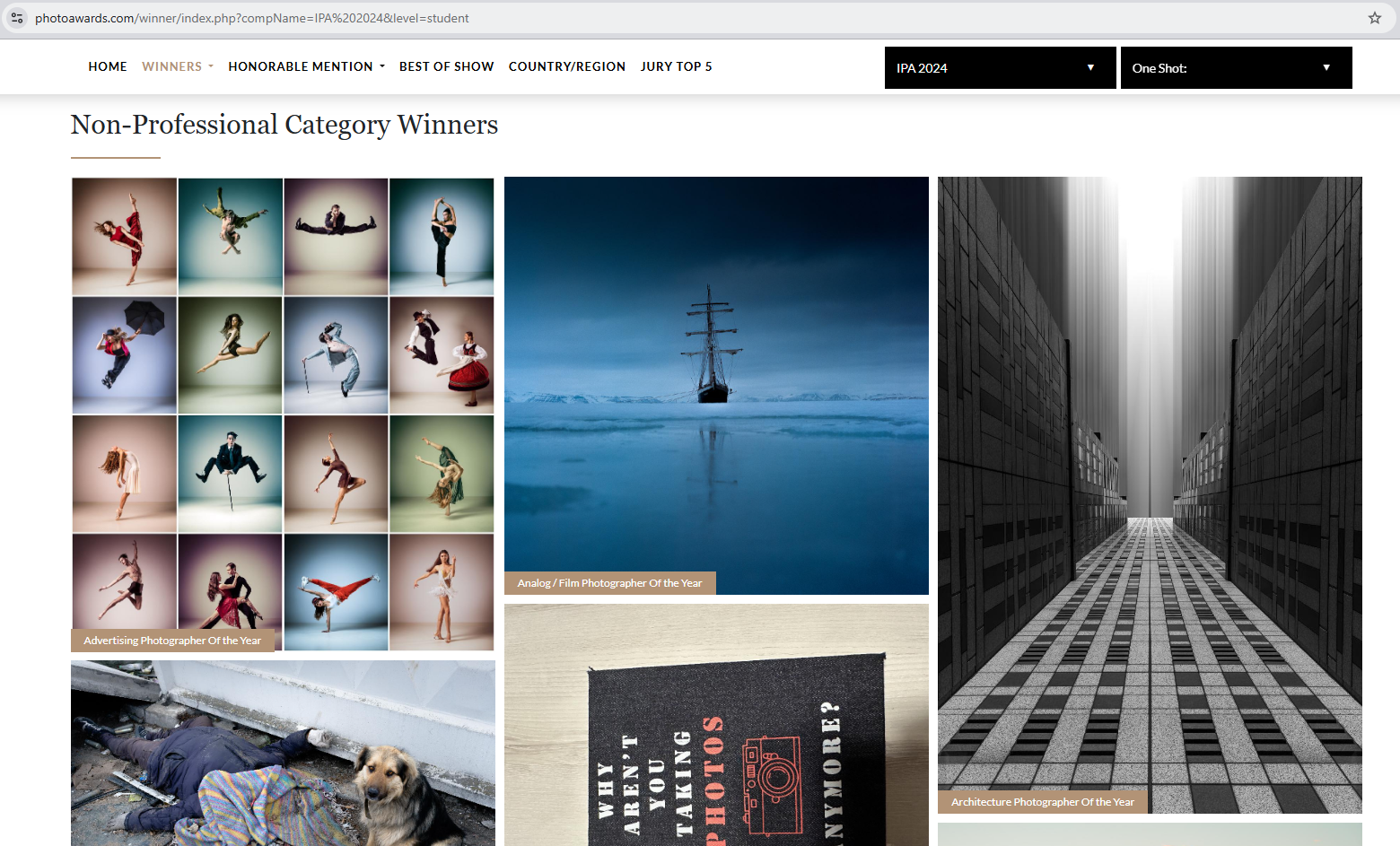 The International Photography Awards Website