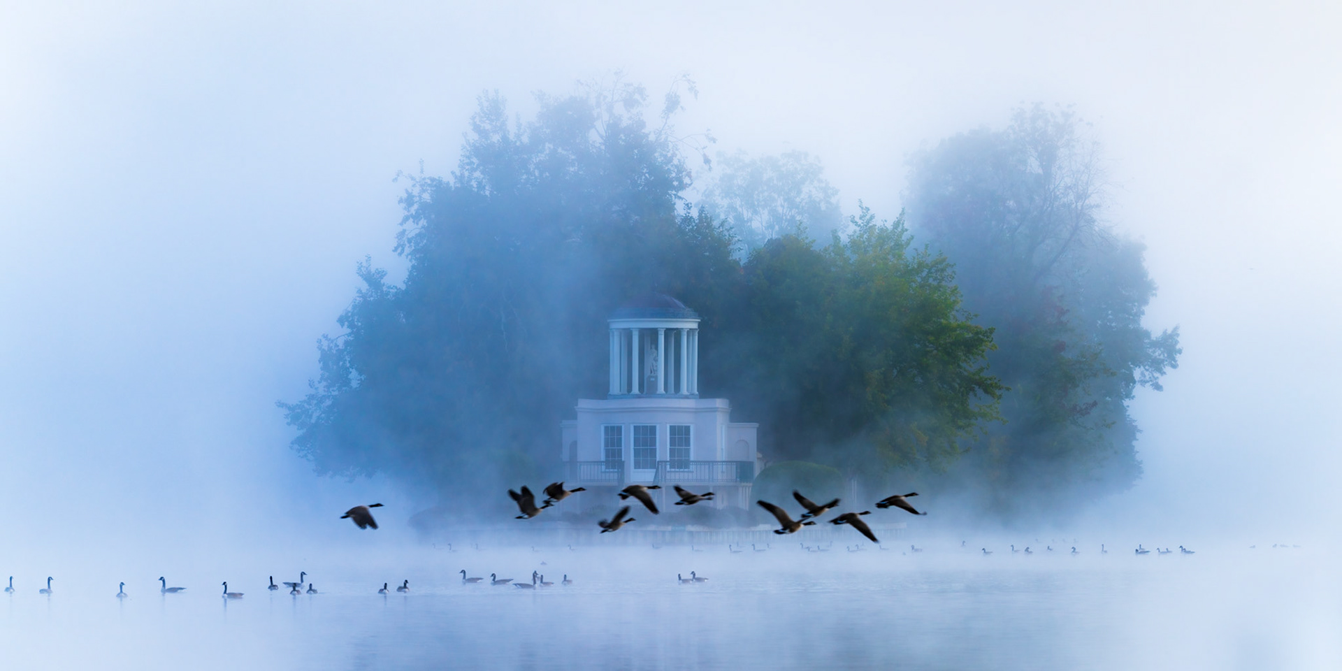 A flock of Canada geese lifts from the water in front of Temple Island, Henley-on-Thames, as dense dawn fog dissolves the treeline into soft blue-grey tones. The neoclassical fishing lodge — designed by James Wyatt in 1771 — materialises just clearly enough to anchor the scene without dominating it. The simultaneous stillness of the swimming birds along the foreground and the kinetic burst of the departing flock creates a rare layering of mood and movement.