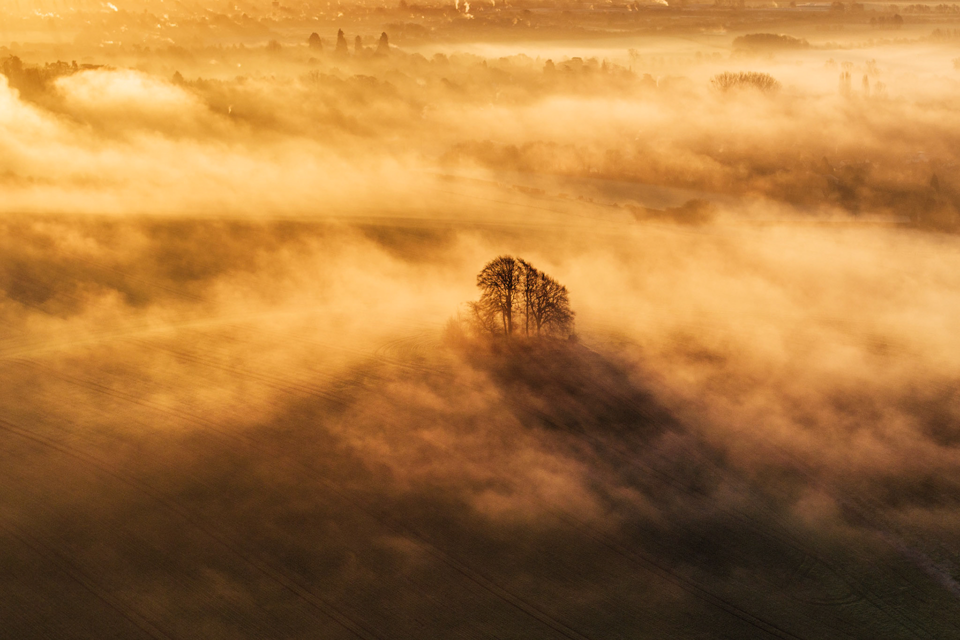 Bare winter trees crown Brightwell Barrow, the low knoll near the Wittenham Clumps in Oxfordshire, rising above a valley floor dissolved by temperature-inversion fog. Shot from altitude at first light on a January morning, low sun backlit the mist into layered golden strata, leaving the trees as the single fixed point in an otherwise formless landscape. The shadow cast downslope through the fog introduces a geometry that separates this from the conventional aerial mist photograph.