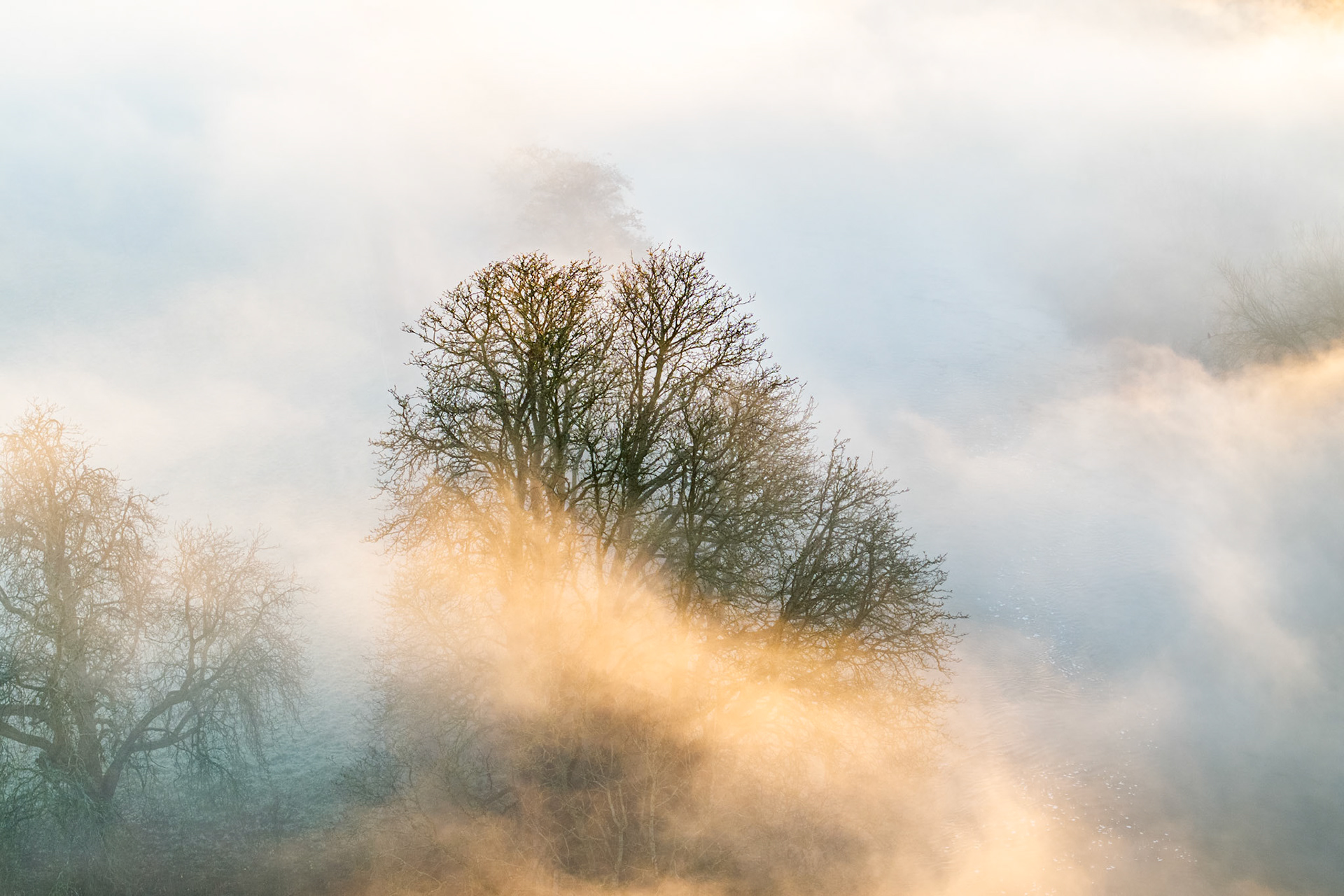 Bare-branched deciduous trees emerge from rolling valley fog near Wallingford, Oxfordshire, during a winter temperature inversion. Warm low sunlight scatters through the mist in raking diagonal bands, reducing the landscape to layers of amber and cool grey. The aerial vantage dissolves any sense of ground, leaving the canopy suspended in luminous vapour.