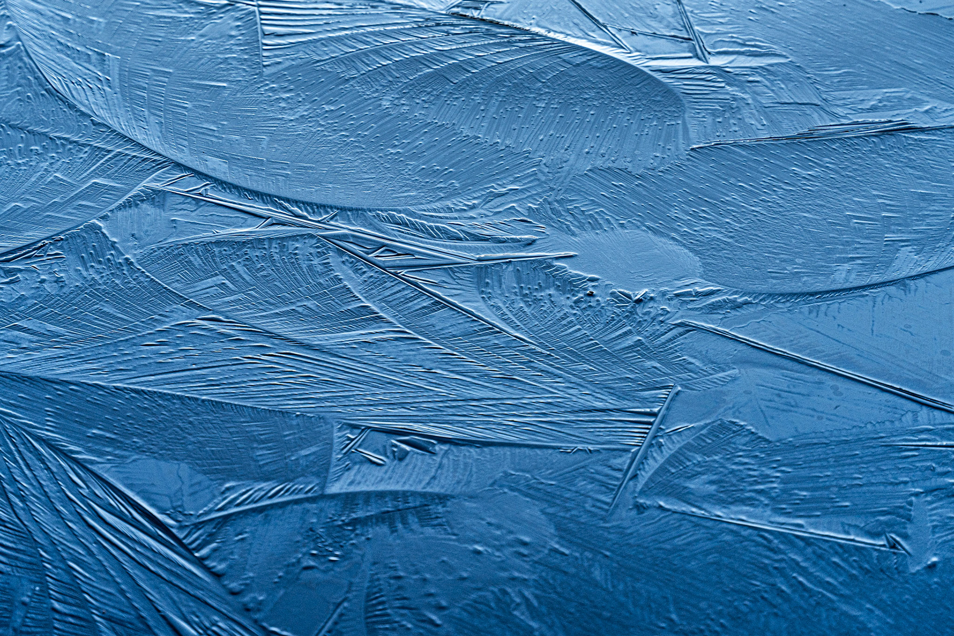 Overlapping sheets of ice crystal formations cover a flat surface, their radiating needle-like dendrites and smooth swept lobes rendered in uniform steel blue. The monochromatic palette and raking light reveal fine surface topography across the frozen plane. Captured at close range, the image reads as pure texture and pattern.