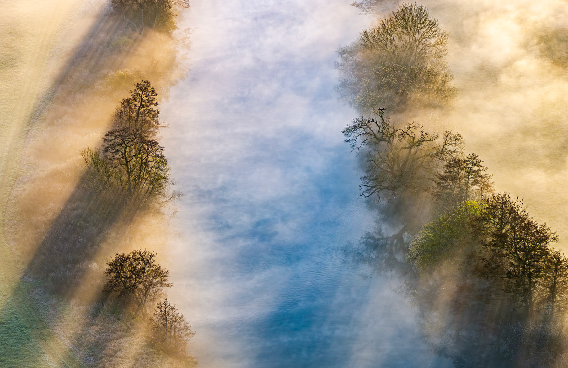 Ground mist rolls across the Thames floodplain near Wallingford on a March morning, partially obscuring bare and budding riverside trees whose canopies frame a mirror-calm channel reflecting cloud and open sky. Cormorants roost and lift from a prominent tree on the right bank, their silhouettes providing precise scale and biological context within an otherwise abstract composition. The interplay of warm mist-light against cool water reflection gives the image an uncommon spatial ambiguity.