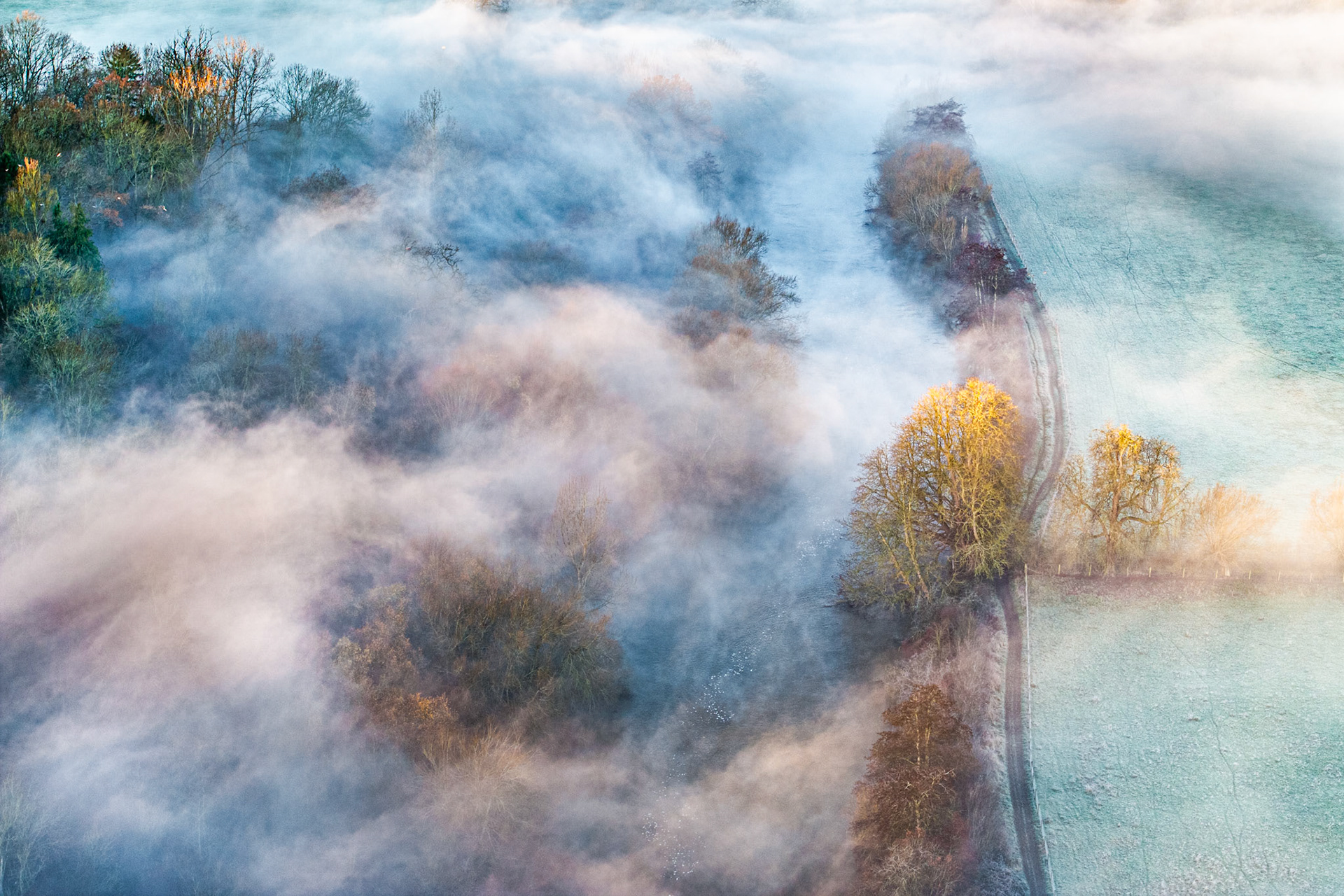 A country road emerges briefly from a low fog inversion blanketing the Thames Valley near Wallingford, Oxfordshire. Golden-leafed trees catch the first winter light above the mist, their canopies isolated like islands in a slow-moving sea of cloud. The aerial vantage transforms a familiar agricultural landscape into something close to abstraction.