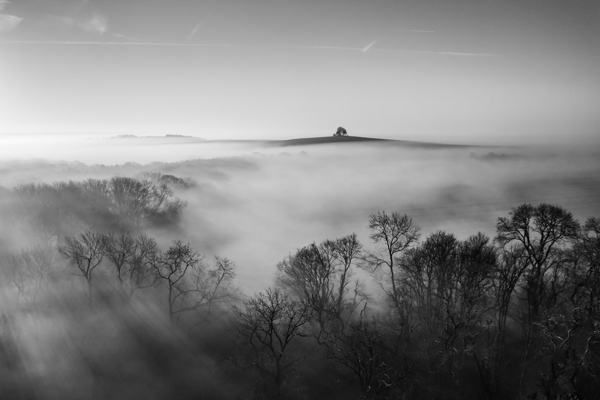 Mist sat on the landscape on this beautiful early spring morning in Oxfordshire, and as the sun rose it cast magical sunbeams through the trees.
