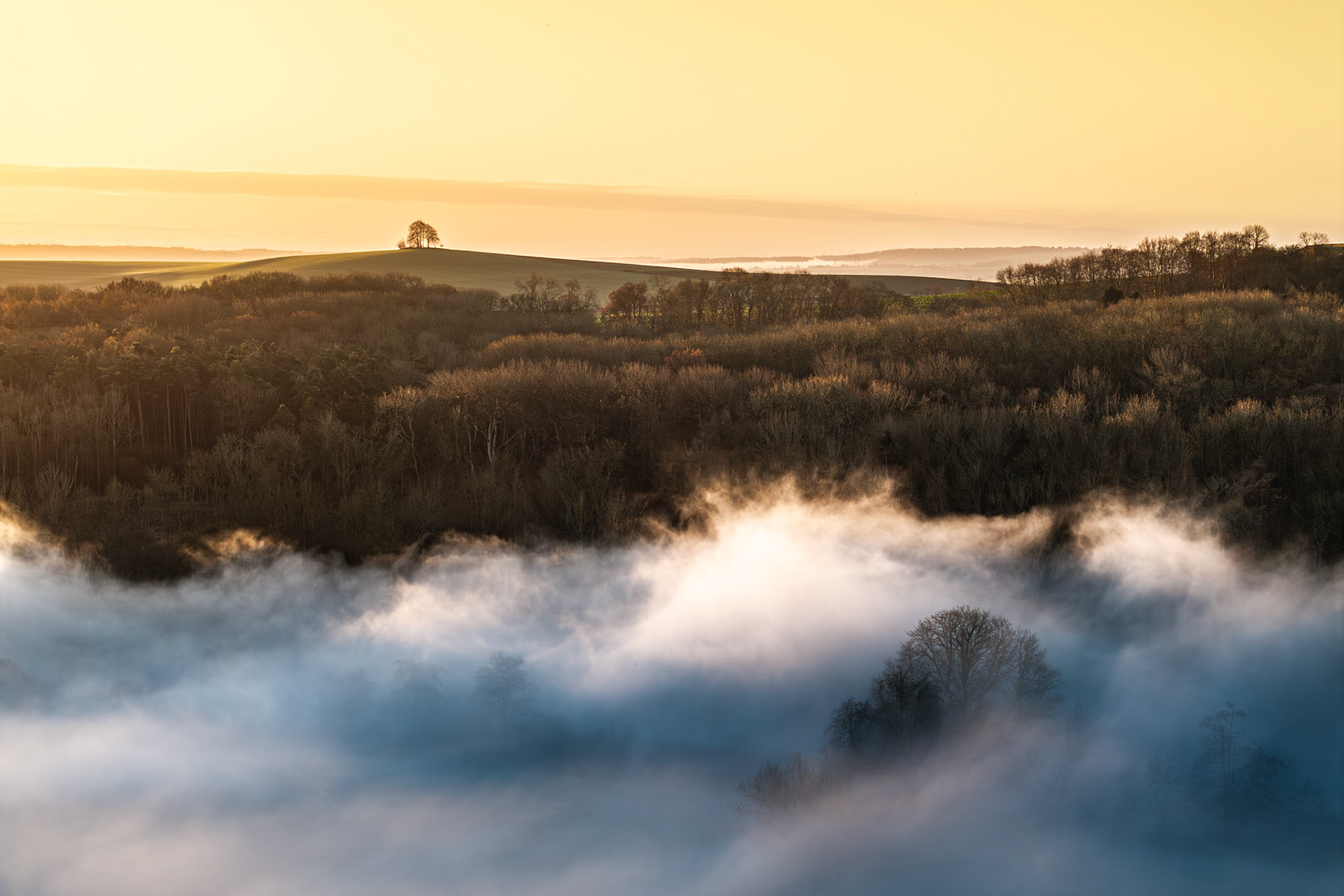 A temperature inversion fills the valley floor with dense fog while bare woodland emerges at the cloud margin, near Wallingford on the Oxfordshire Downs. A lone tree group crowns the distant hill in silhouette against a pale winter dawn sky. The foreground mist, lit from below, separates into distinct layers that give the scene unusual depth and spatial ambiguity.