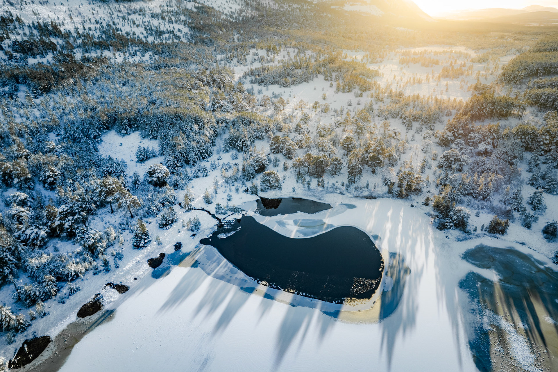 Long Shadows over the Caledonian Forest - from the Cairngorms National Park in Scotland. Sunset casts warm light over this wintery and snowy scene from the depths of winter.