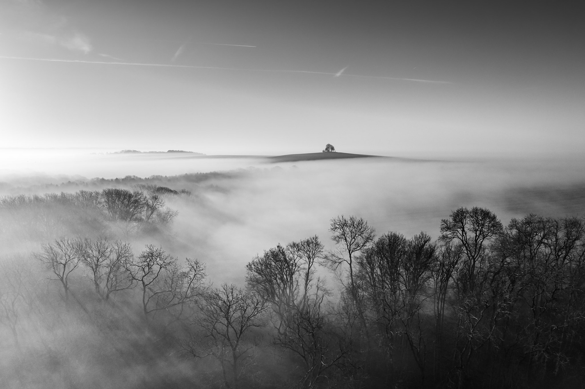 In a Sea of Mist - Mist blankets the Oxfordshire landscape, where the sunrise casts shadows into the mist through the bare trees. Shown in Black and White. BWPA 2026 Edition 14 Book Inclusion