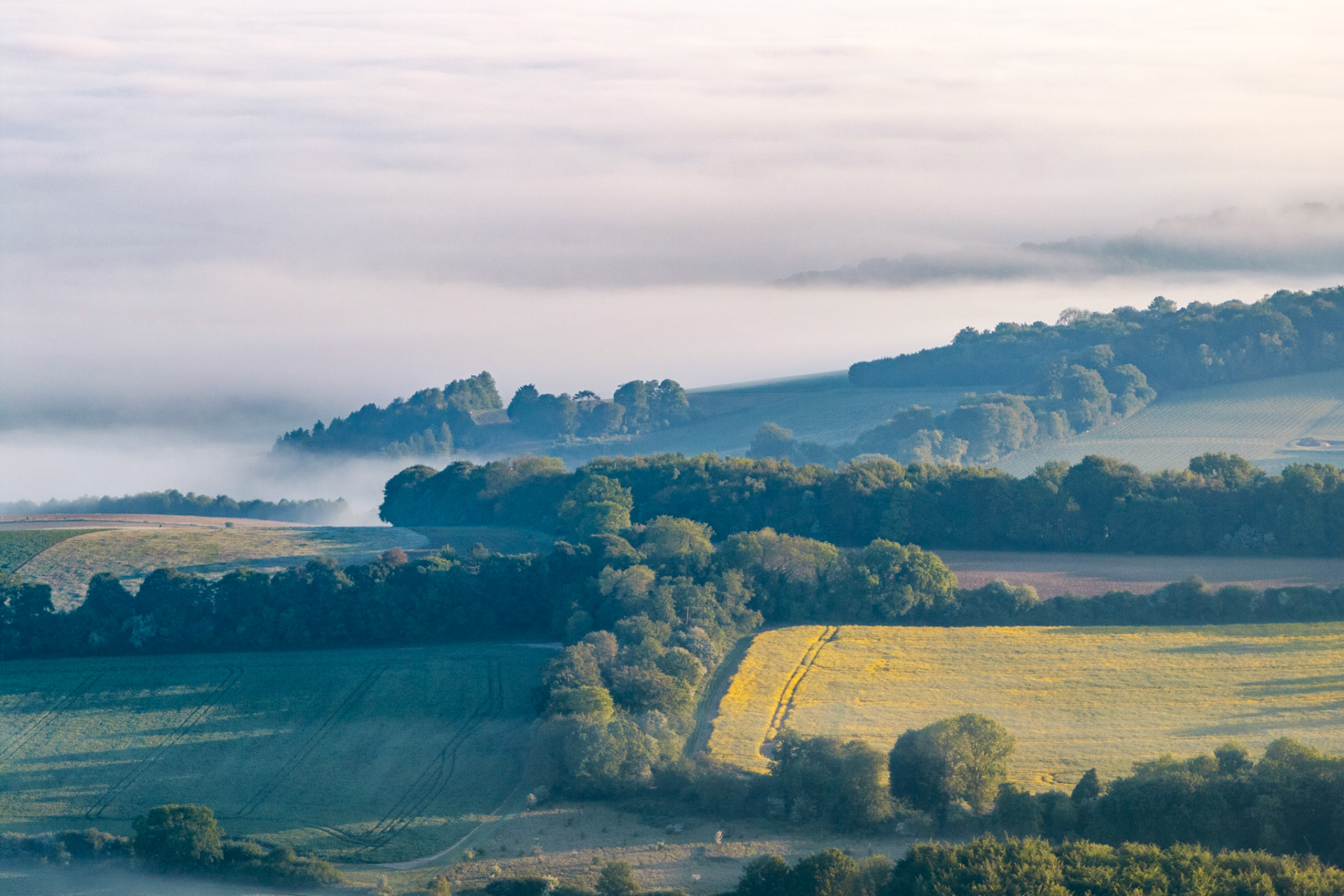 Low cloud pools between the scarp and vale near Henley-on-Thames, breaking just enough to allow early light to catch a strip of meadow among the tree-lines. Shot from altitude in spring, the layering of mist, woodland copses, and arable fields compresses the familiar chalk downland into receding planes of tone.