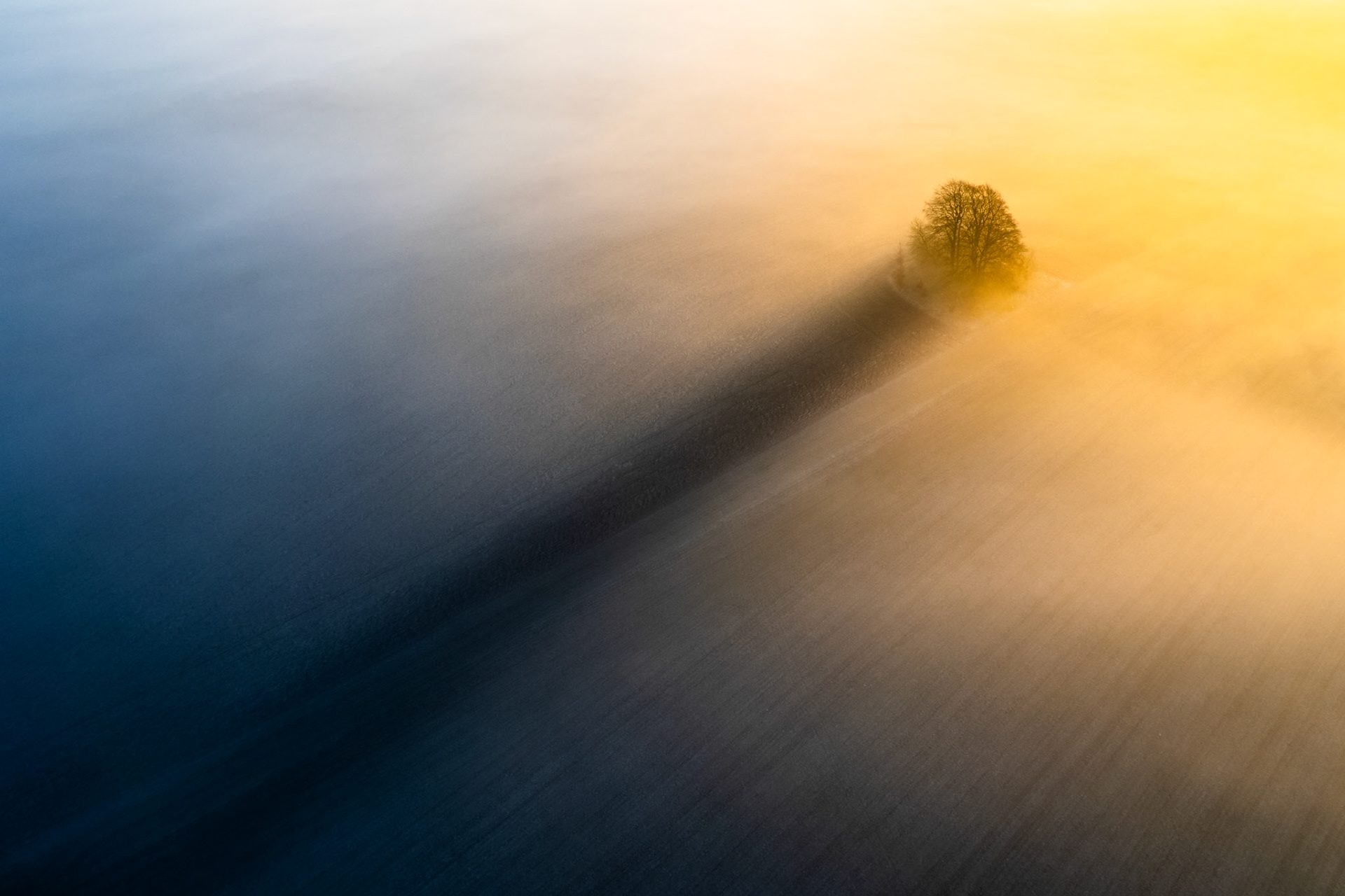 A solitary bare tree casts a long dark shadow across a fog-covered arable field on the slopes of Brightwell Barrow, near the Wittenham Clumps in Oxfordshire, as low winter sunrise strikes horizontally through the mist. The aerial perspective reduces the scene to near-pure geometry: a diagonal line of darkness dividing cold blue shadow from warm amber light. The tree reads as both subject and instrument, the agent producing the image's central tension.