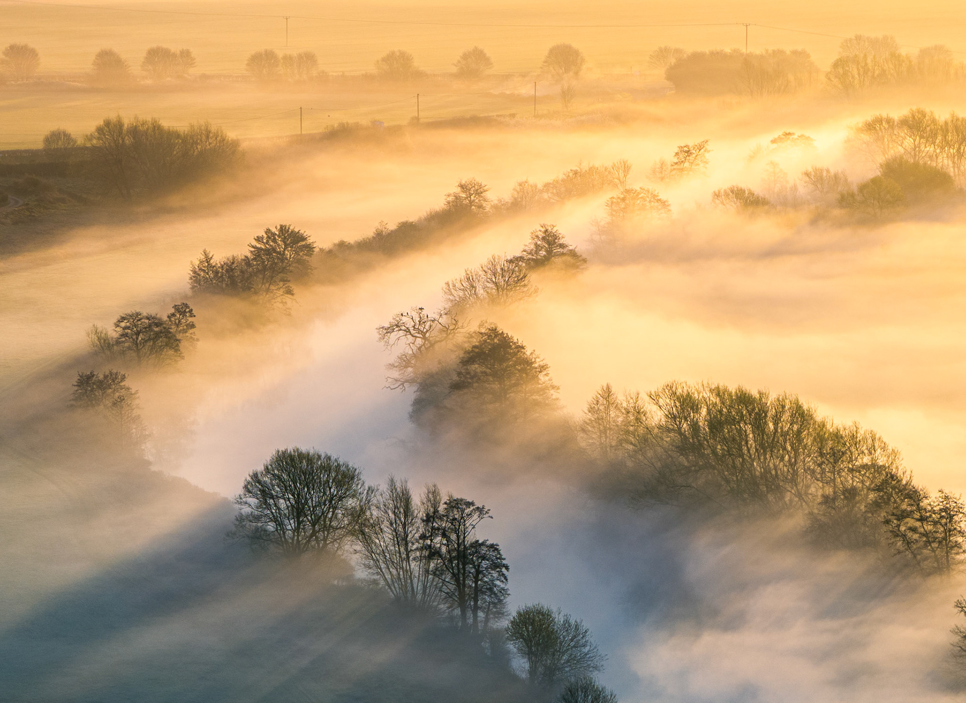 A temperature inversion traps ground fog across the Thames Valley near Wallingford, with hedgerow trees and field copses emerging as dark silhouettes from the luminous white layer. Low March sunlight rakes in from the east, casting long tree shadows across the fog surface and revealing the sinuous lines of field boundaries beneath. The elevated drone perspective flattens the scene into near-abstraction while preserving a strong sense of depth through layered recession.