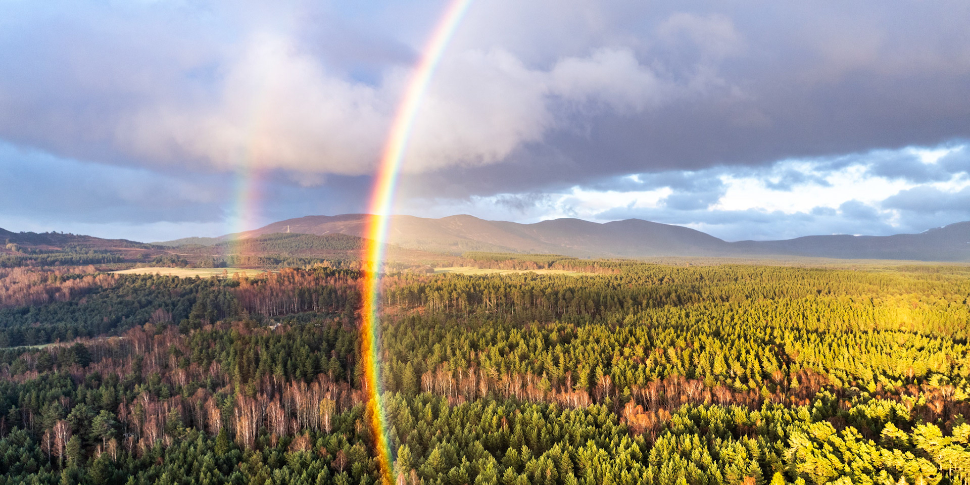 A full rainbow descends into the native pinewood of Rothiemurchus from aerial altitude, its base lost in the canopy as storm cloud retreats north across the Cairngorm massif. Late-afternoon sun rakes the forest floor, separating shadow from warm light across the tree-tops in a patchwork of amber and green. The Cairngorm plateau and its flanking ridges anchor the horizon beneath a broken, dramatic sky.