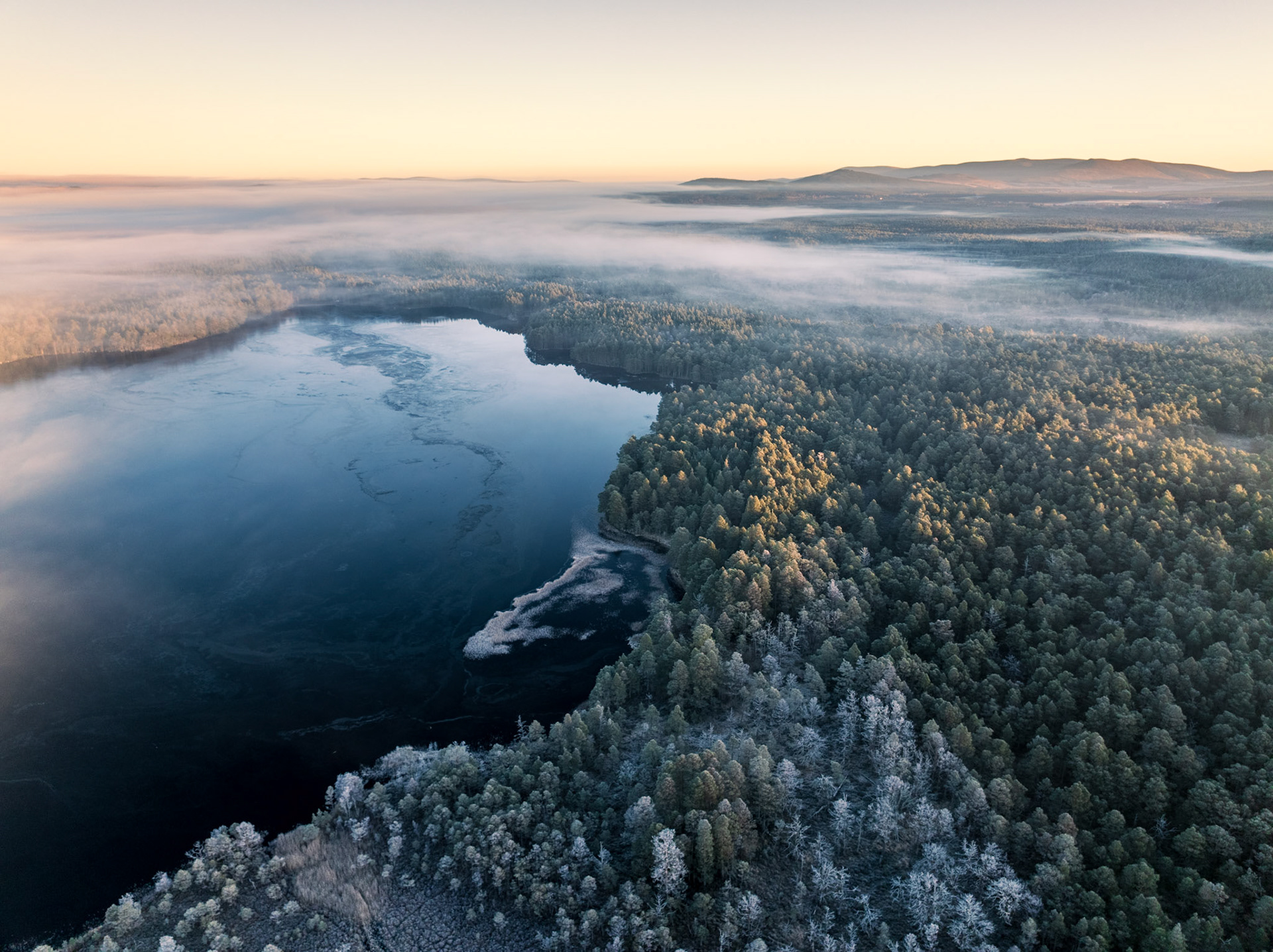 A frost-rimed Caledonian pine forest meets a dark, partially ice-forming loch near Nethy Bridge, Cairngorms, on a Christmas morning inversion. Low cloud pools between the tree canopy and a pale apricot horizon, while hoarfrost whitens the foreground trees and traces the shoreline. The diagonal land-water boundary anchors a scene of considerable stillness and depth.