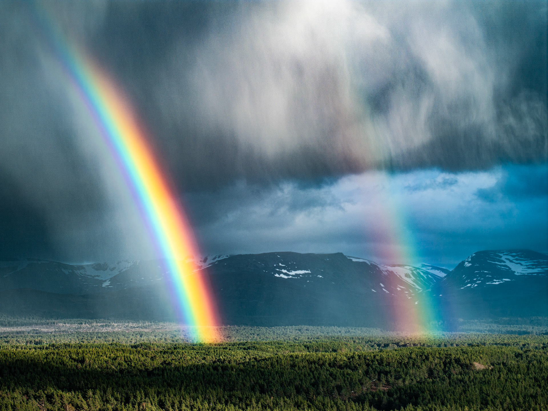 A double rainbow descends through an active rain curtain above the boreal forest of the Cairngorm plateau, with snow-patched massifs visible behind. The aerial vantage compresses the full arc against dark cumulonimbus, intensifying the spectral colour against the threat of the storm. The convergence of both bow legs near the treeline gives the frame an almost architectural geometry unusual for this phenomenon.