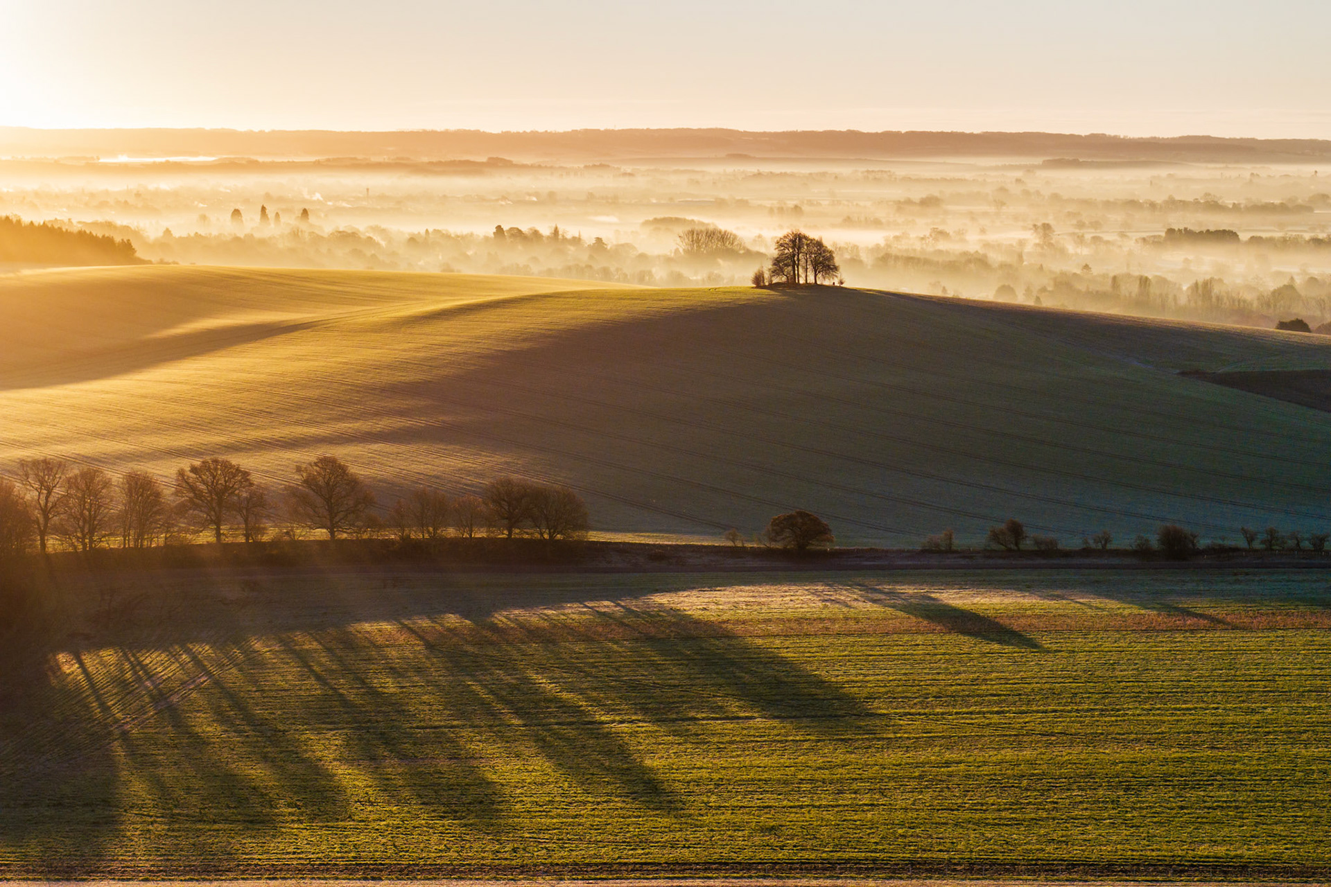 Low winter sun rakes across ploughed downland at Brightwell Barrow, near the Wittenham Clumps in Oxfordshire, casting long tree shadows across frost-touched fields while a temperature inversion holds mist in the vale below. The copse crowning the barrow acts as a focal anchor against the layered vapour and the familiar wooded ridge beyond. The compression of light, shadow, and mist across multiple planes gives the scene unusual depth for a hand-held moment.