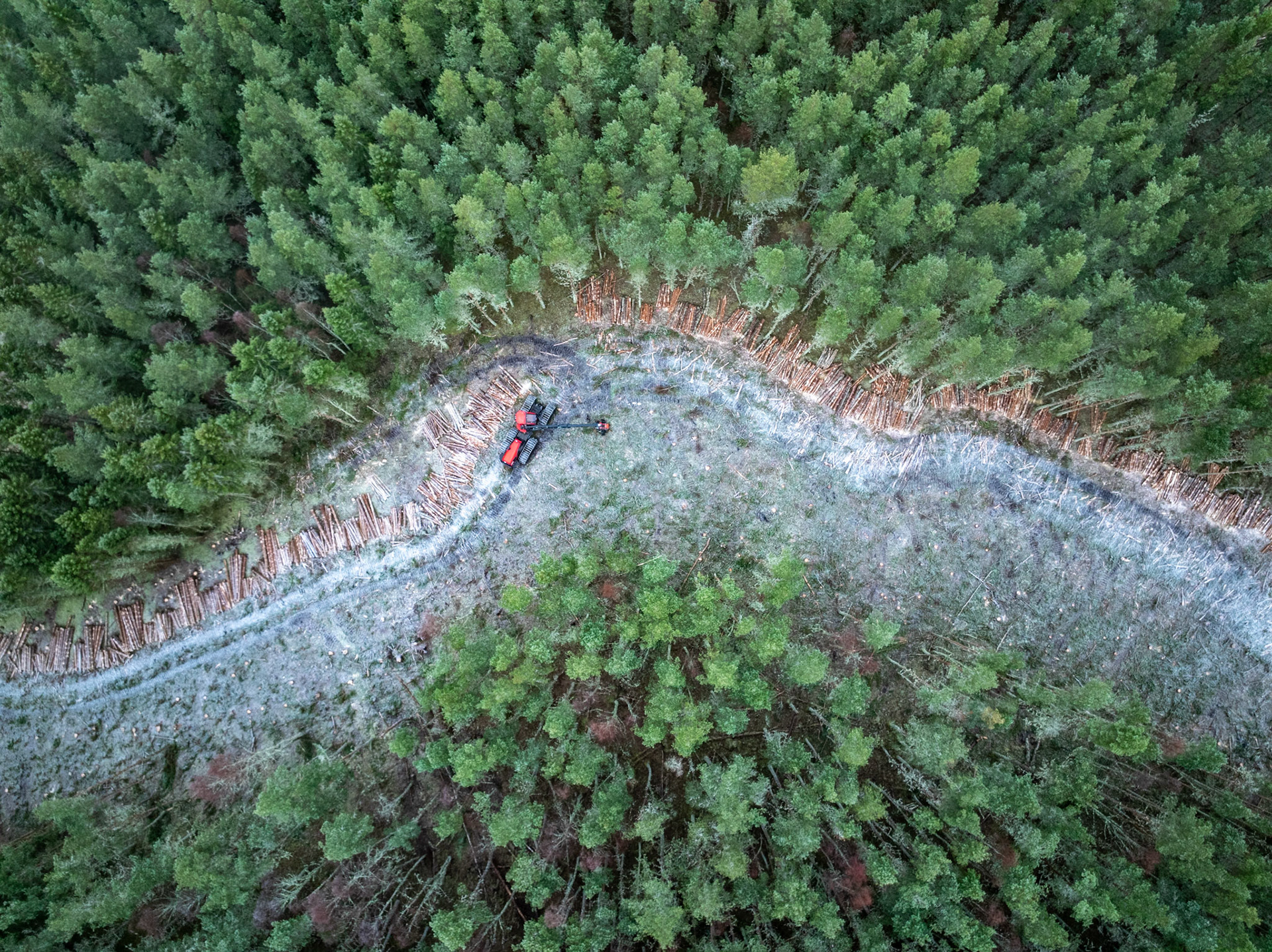 A forestry harvester works a serpentine clearance corridor through conifer plantation near Kingussie, the felled logs ranked in pale arcs against the frosted brash. Shot directly overhead, the machine becomes a small point of industry swallowed by the scale of managed forest. The curved boundary between standing timber and stripped ground gives the frame its geometry.