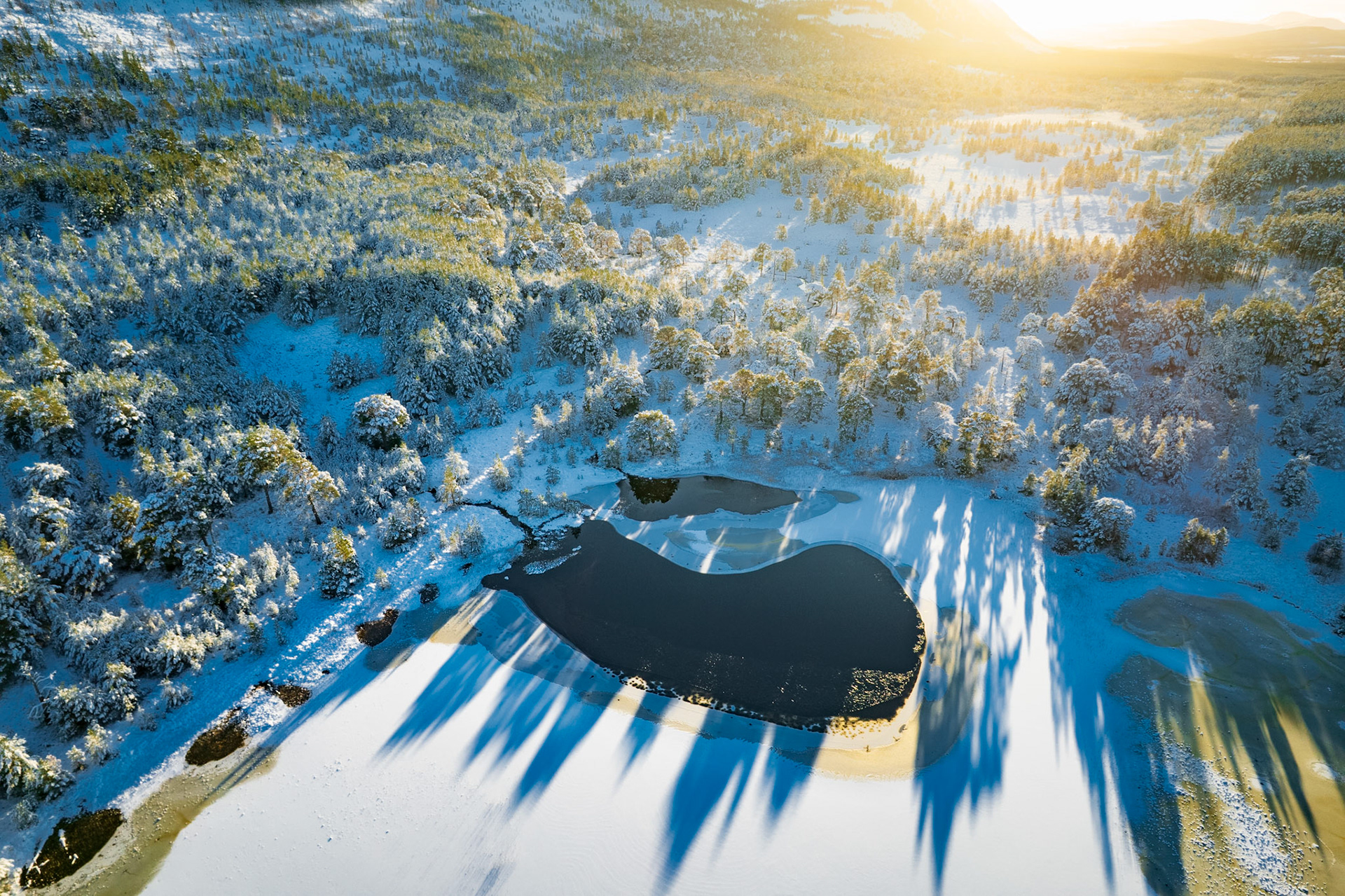 Long Shadows over the Caledonian Forest - from the Cairngorms National Park in Scotland. Sunset casts warm light over this wintery and snowy scene from the depths of winter.