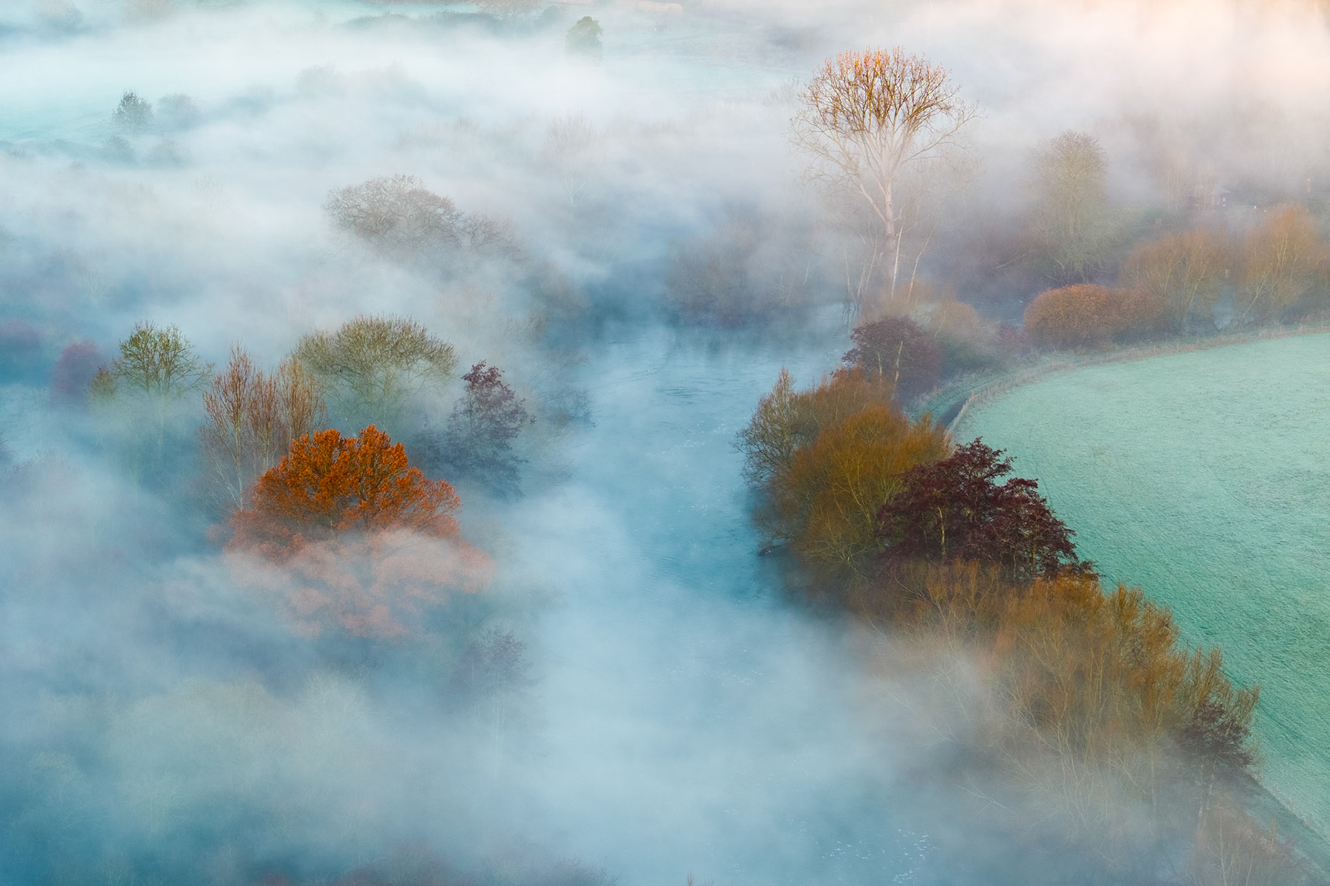 A temperature inversion smothers the Thames valley near Abingdon at first light, leaving trees in full autumn-to-winter transition stranded above a slow-moving sea of cold fog. A frosted meadow breaks clear to the right, its pale green a quiet counterpoint to the amber and burgundy crowns emerging from the mist. The aerial perspective dissolves conventional landscape geometry, reducing the scene to colour, texture, and atmosphere.