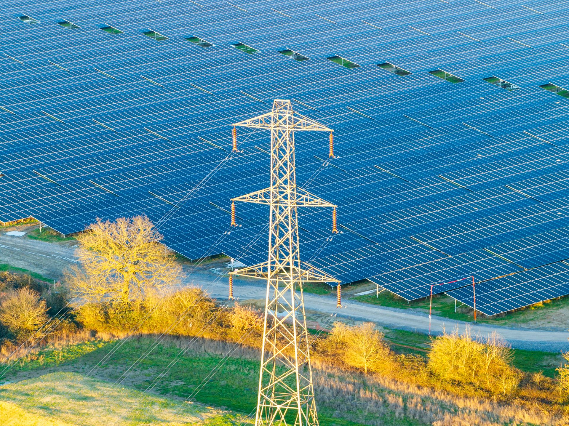A high-voltage transmission pylon stands within a large solar farm near Oxford, photographed from the air in low winter sun. The warm light catches the latticed steel against a near-total field of blue photovoltaic panels, creating an unintended visual rhyme between two generations of energy infrastructure. Bare hedgerow trees along an access track provide the only organic break in the composition.