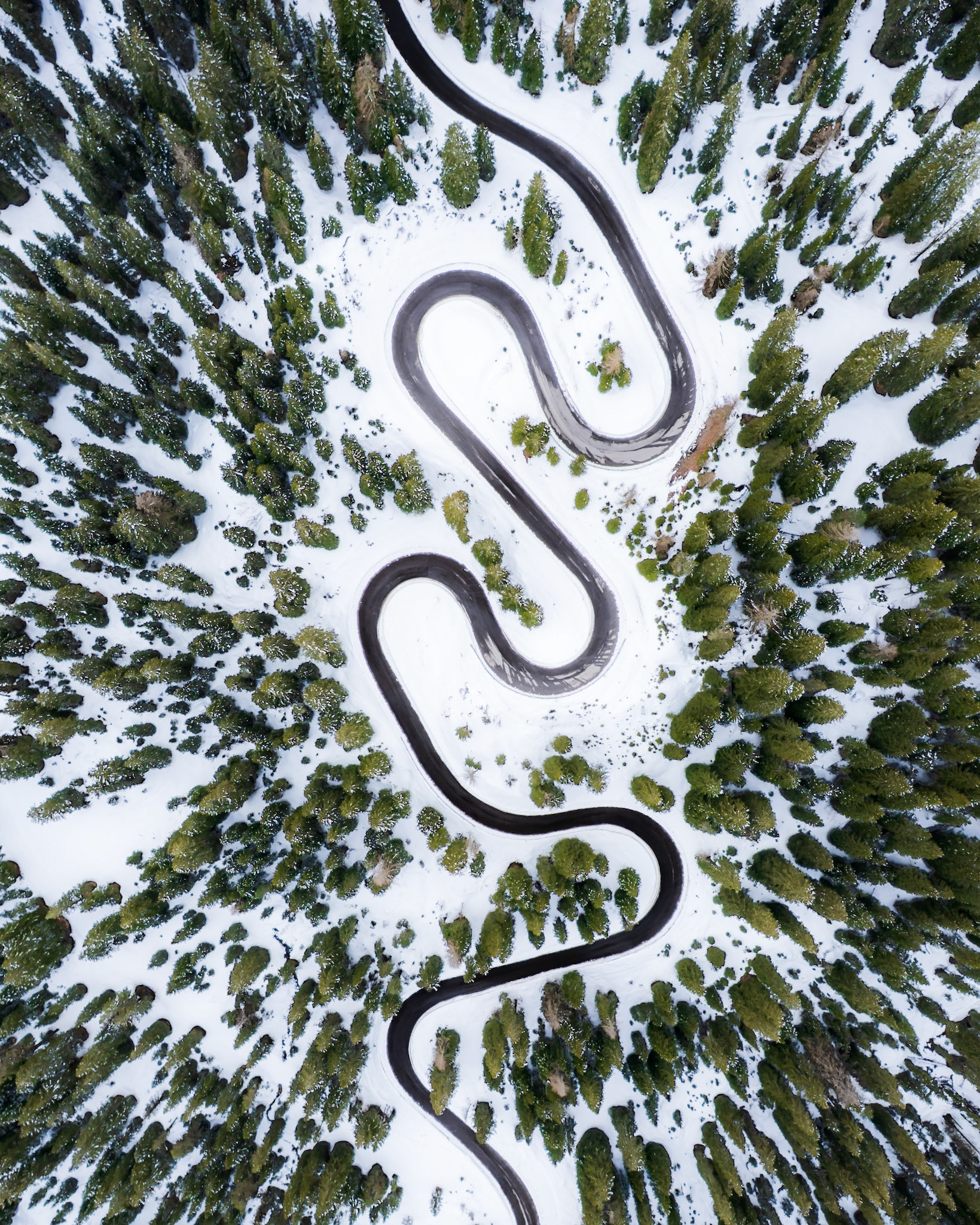 A hairpin mountain road cuts a dark sinuous line through snow-covered conifer forest above Cortina d'Ampezzo, shot nadir from altitude in late March. The tight switchbacks form near-symmetrical loops, the bare asphalt reading as graphic calligraphy against the white ground. No vehicle breaks the stillness, giving the composition the quality of an abstract drawing rather than a document of infrastructure.