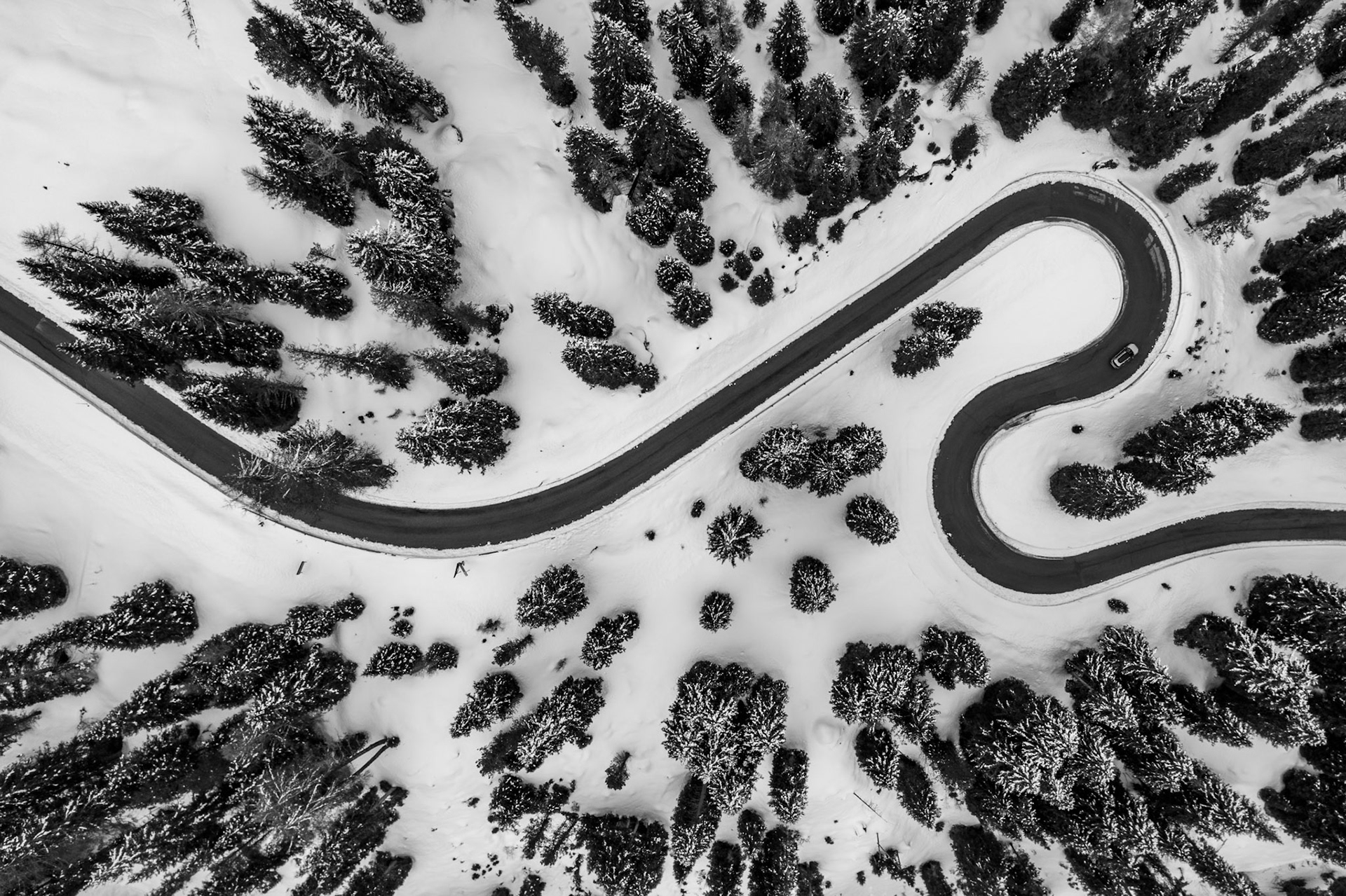 A hairpin mountain road cuts a precise S-curve through snow-covered conifer forest above Cortina d'Ampezzo, rendered from directly overhead in monochrome. The graphic contrast between the cleared asphalt and the white snowpack reduces the scene to pure line and form. A solitary vehicle caught mid-bend provides the only indication of scale.