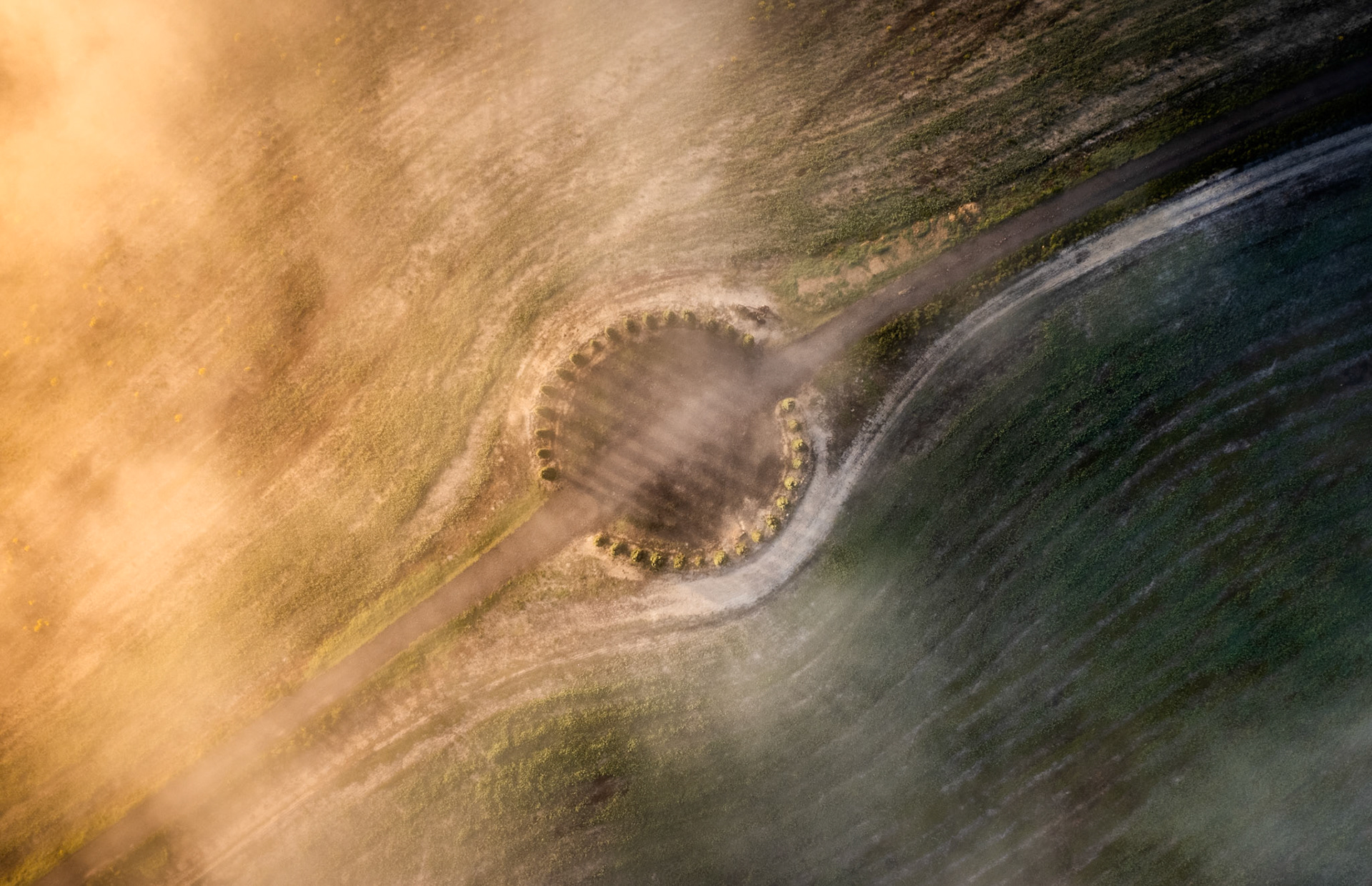 A circular arrangement of young trees on an exposed hillside near San Quirico d'Orcia catches early light as mist drifts across the Val d'Orcia in autumn. Shot from directly above, the ring reads as a near-complete disc against the pale dust of the surrounding track, its geometry sharpened by the diagonal sweep of shadow and warm haze. The interplay of geometric order and atmospheric dissolution gives the frame an abstract quality that belies the pastoral setting.