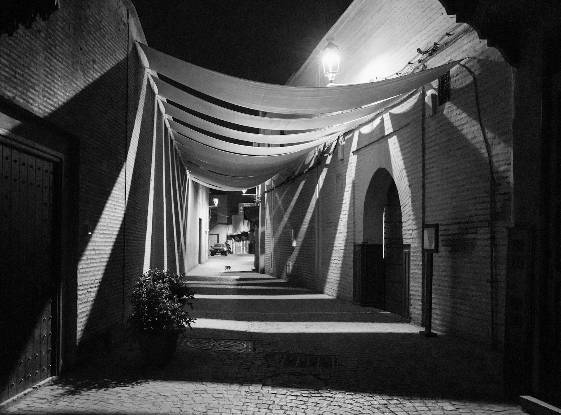Night on the Streets of Marrakech, Morocco (Awarded)